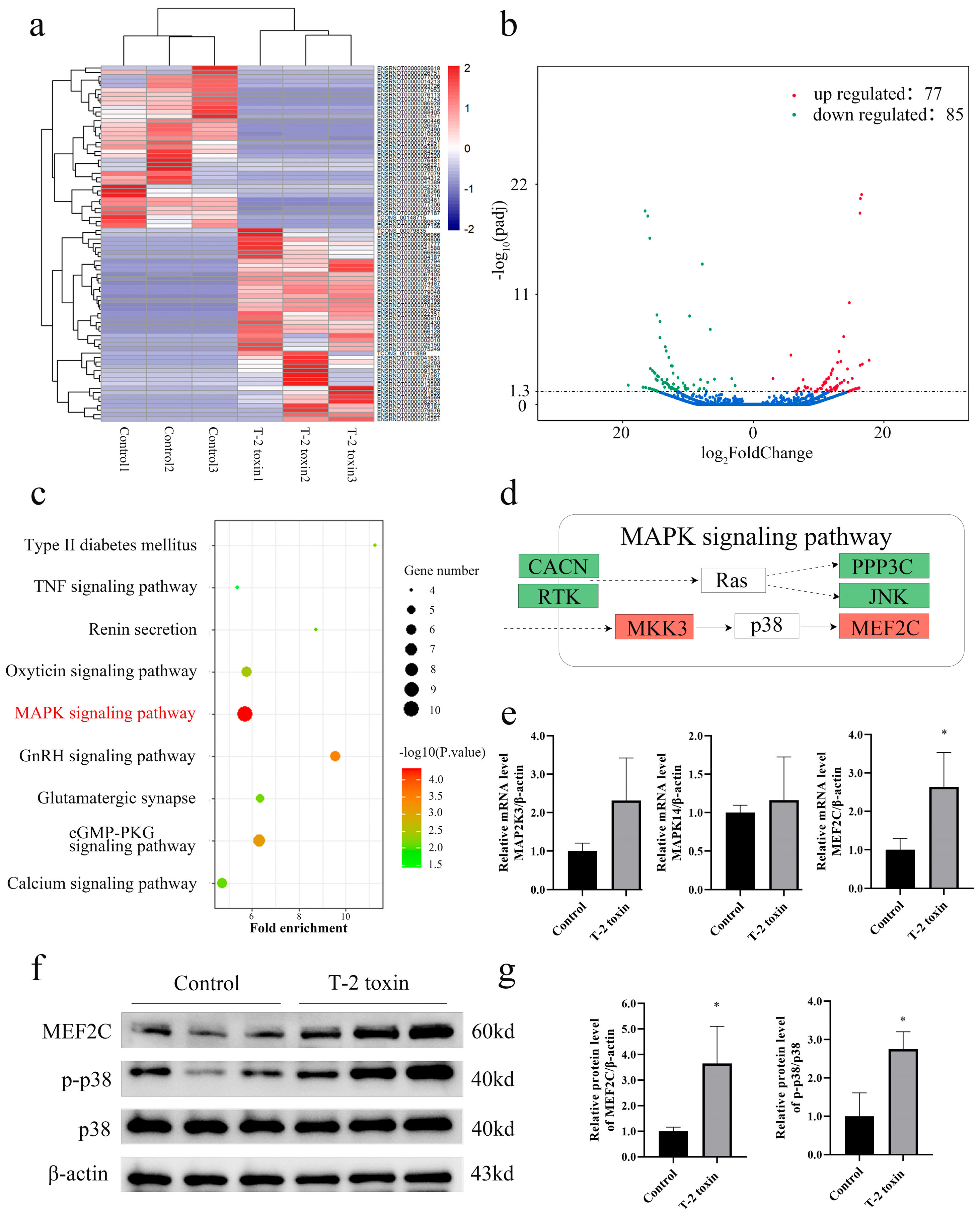 Nutrients 16 03107 g001