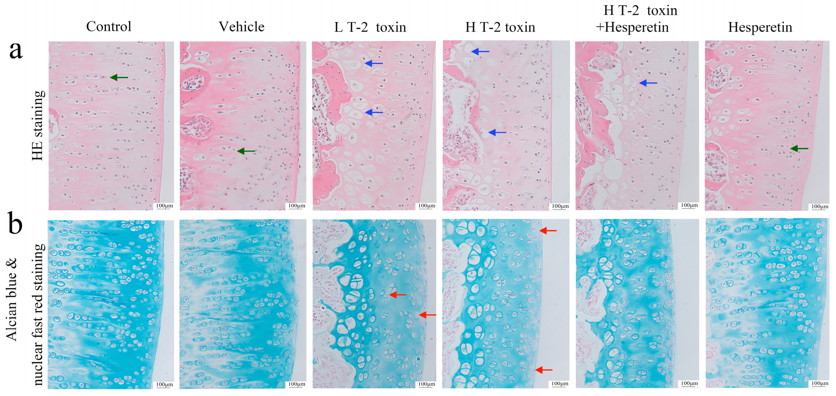 Nutrients 16 03107 g002