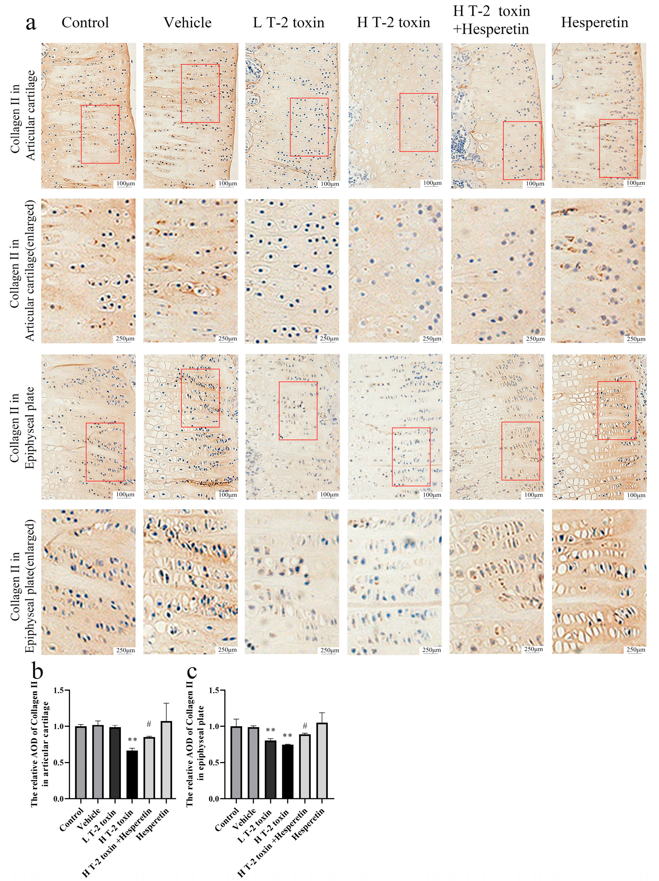 Nutrients 16 03107 g003