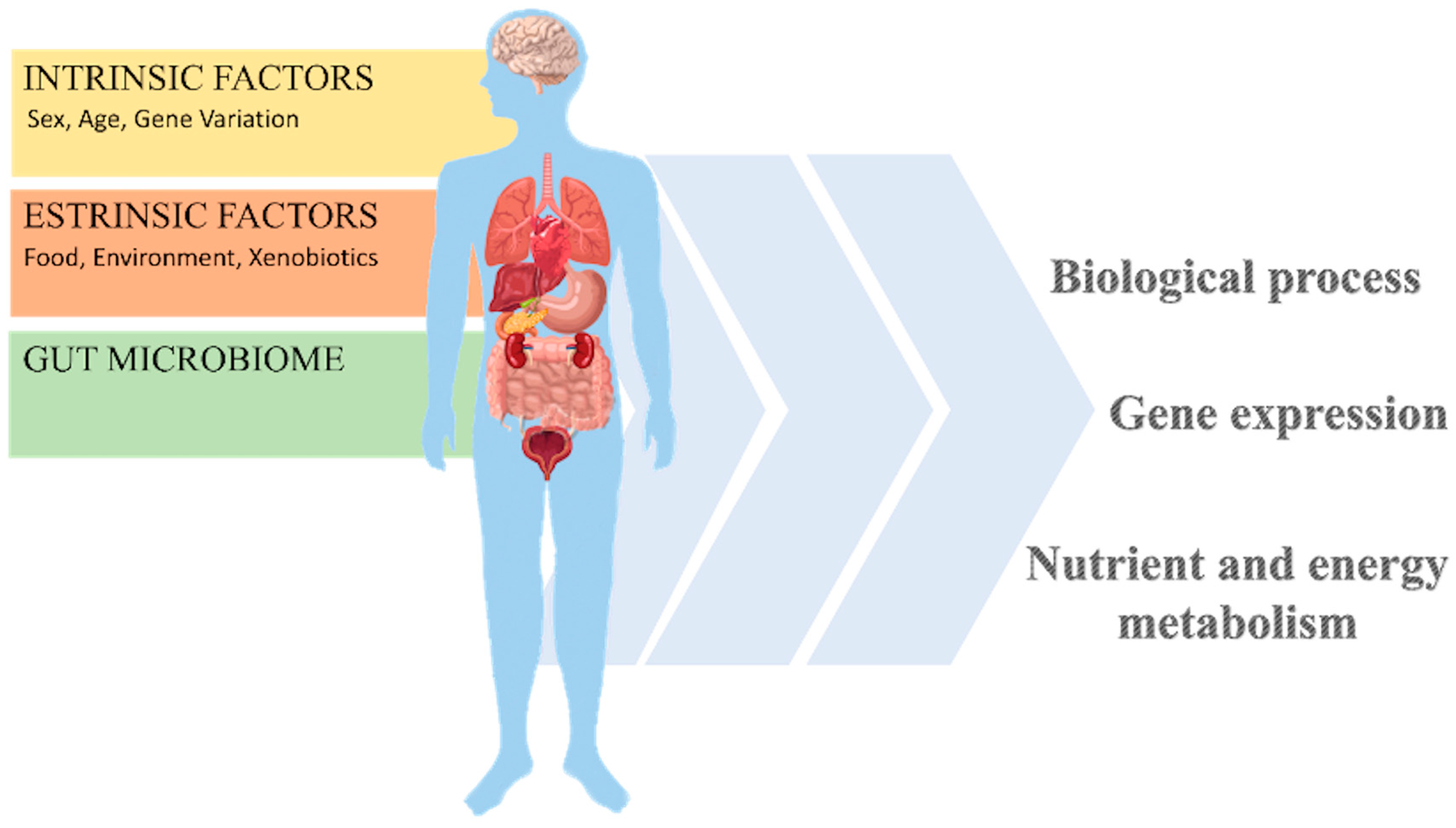 Nutrients 16 03114 g002