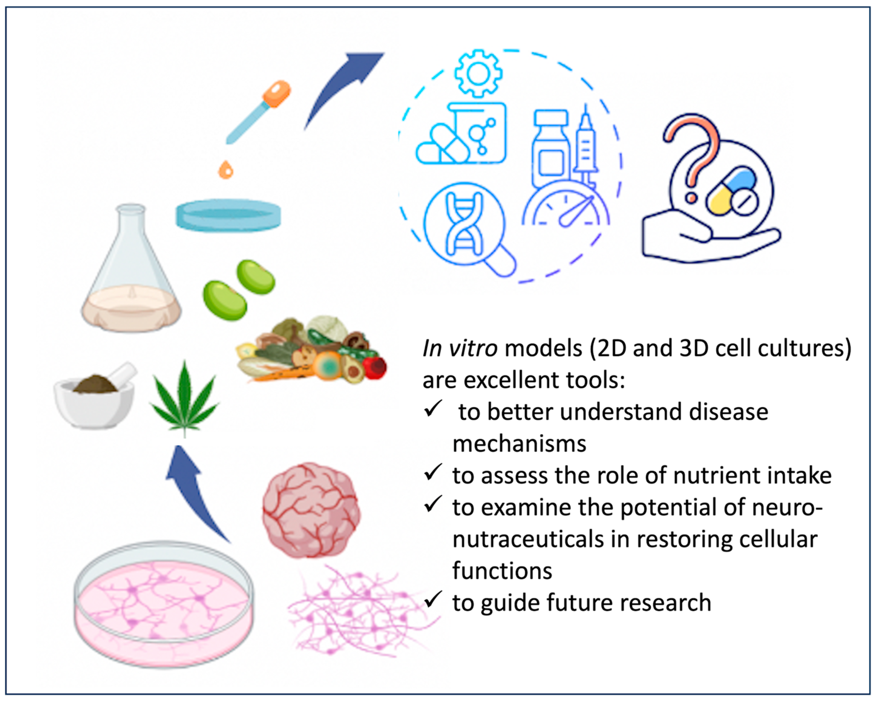 Nutrients 16 03114 g003