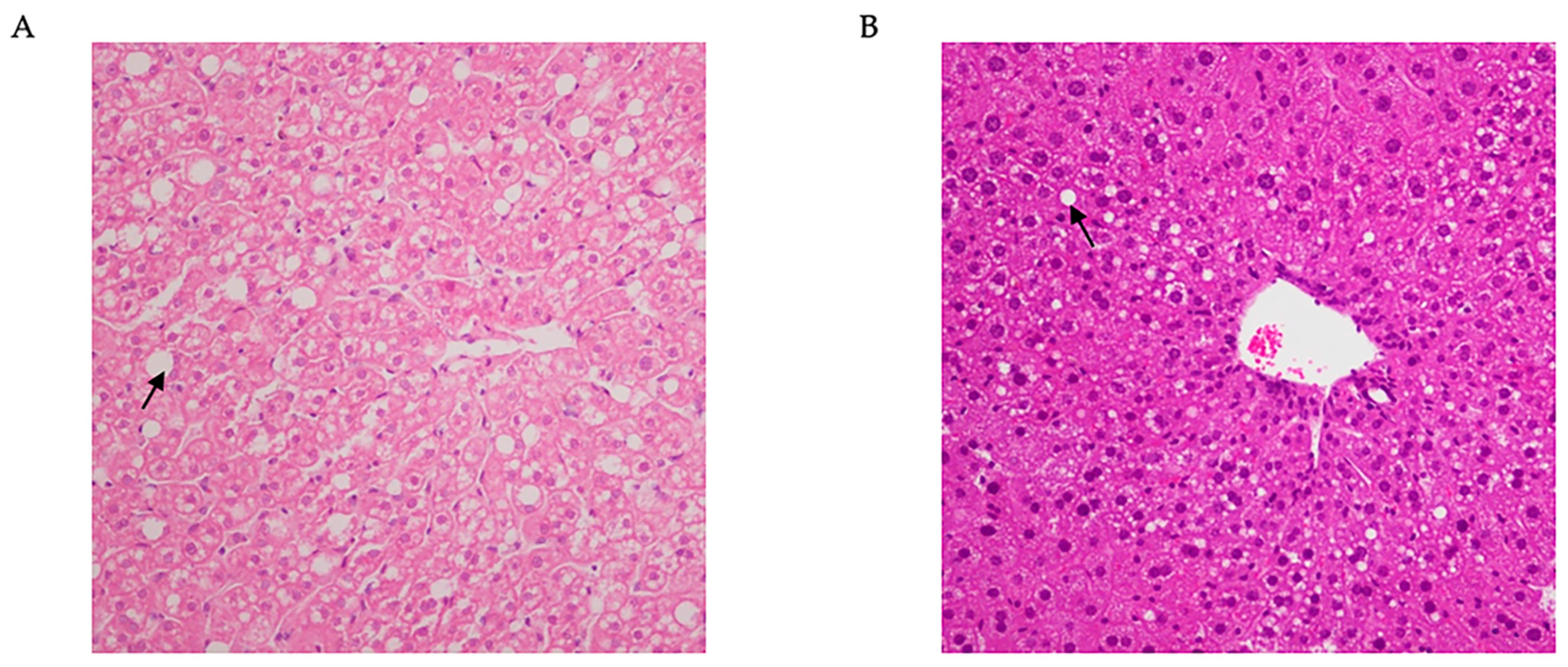 Nutrients 16 03120 g001