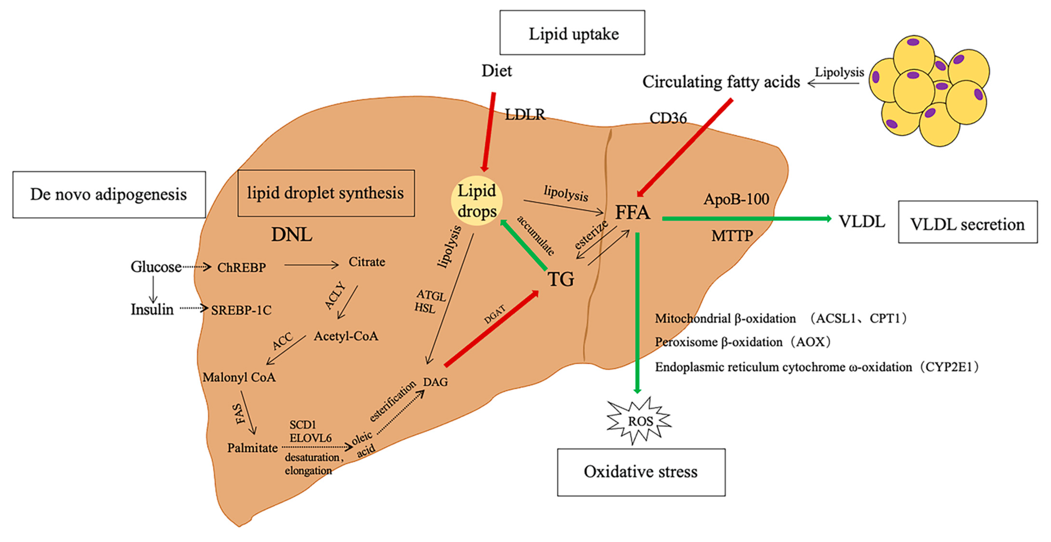 Nutrients 16 03120 g002