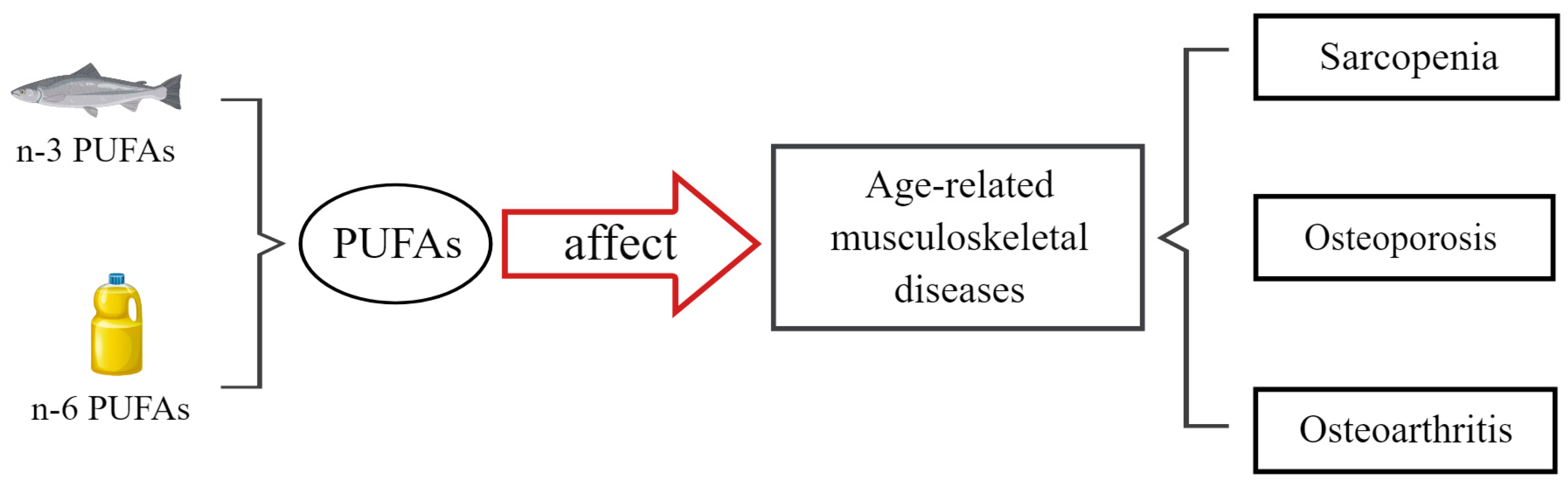 Nutrients 16 03130 g002