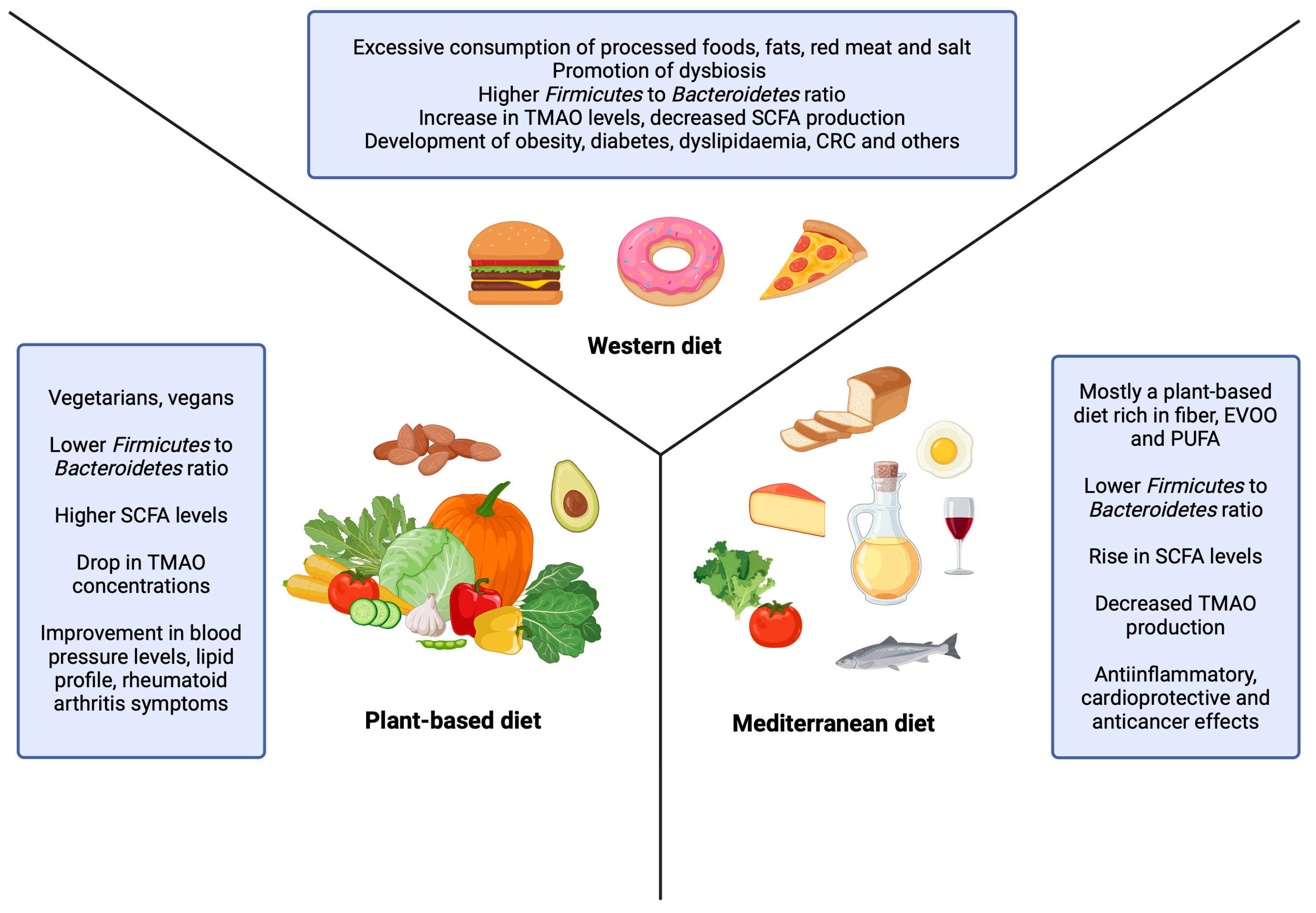 The Effect of Dietary Types on Gut Microbiota Composition and 