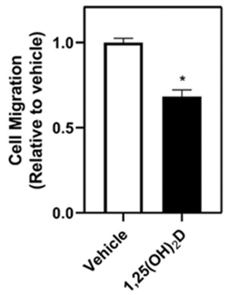 Nutrients 16 03153 g001