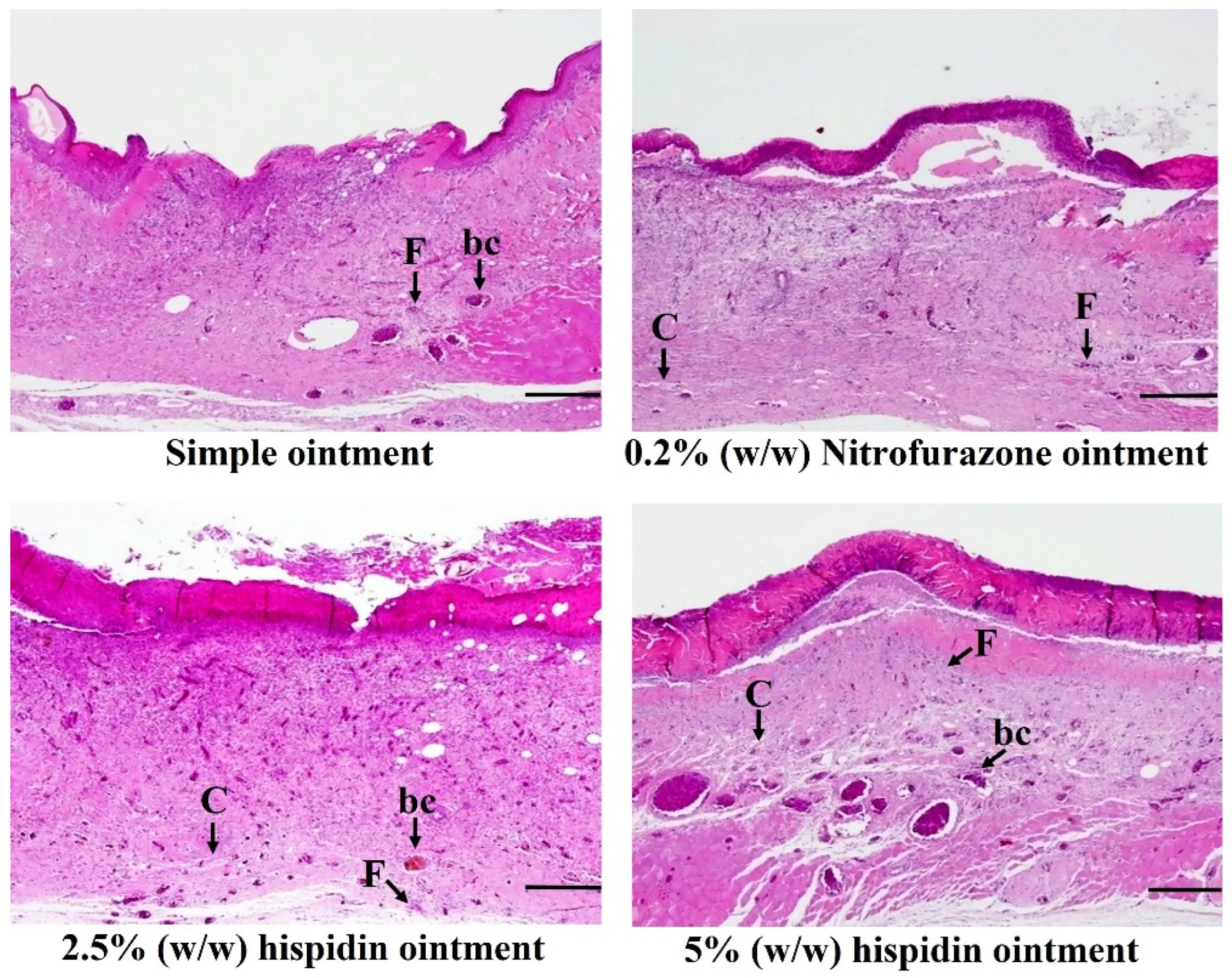 Nutrients 16 03161 g003