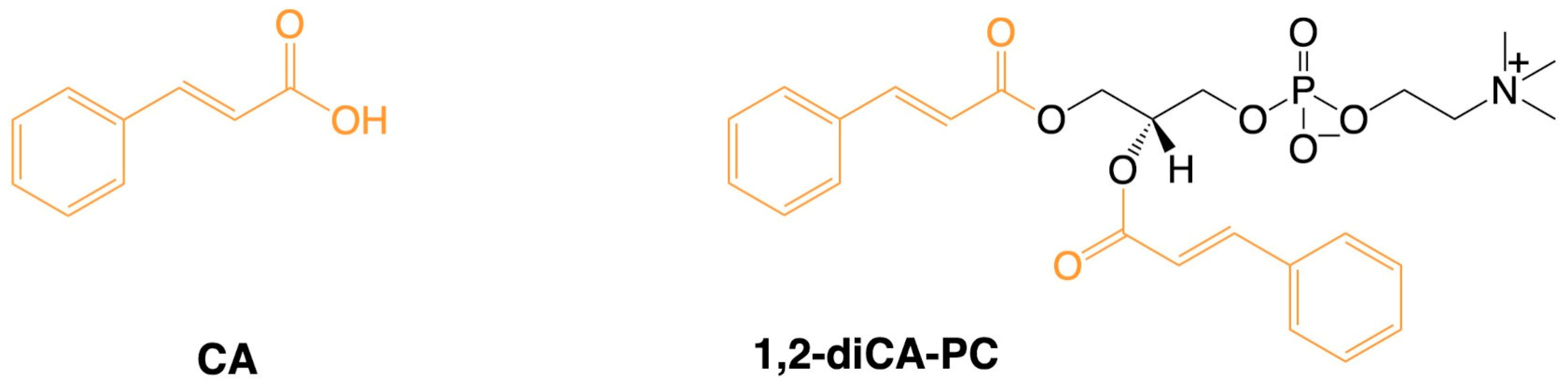 Nutrients 16 03163 g001