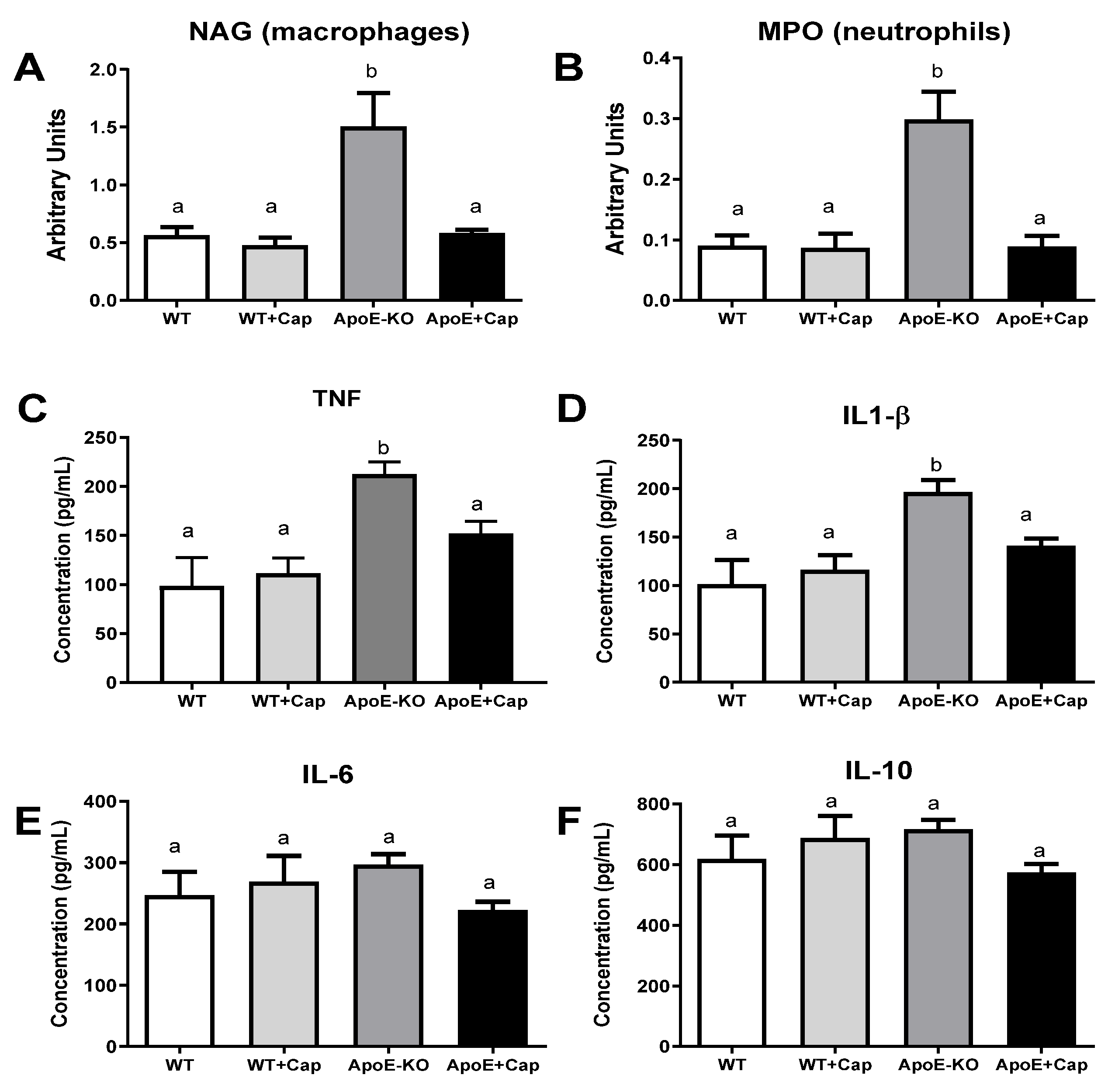 Nutrients 16 03167 g002