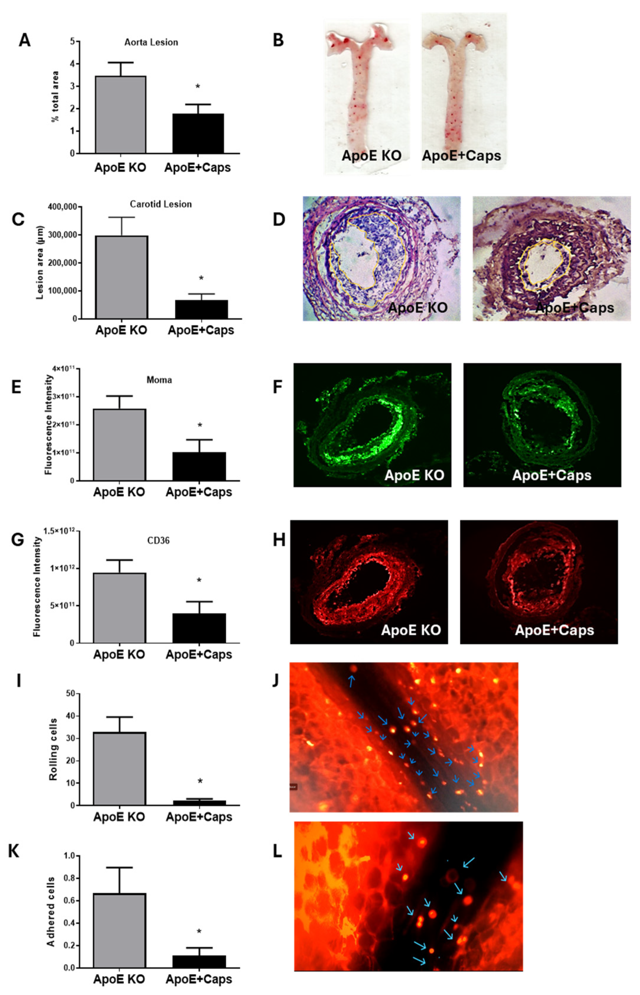 Nutrients 16 03167 g003