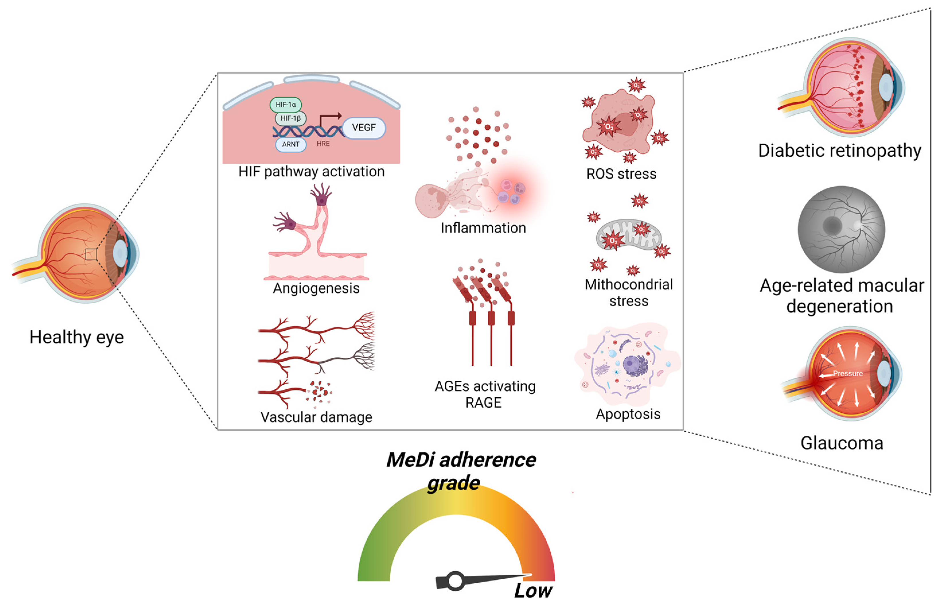 Nutrients 16 03169 g003