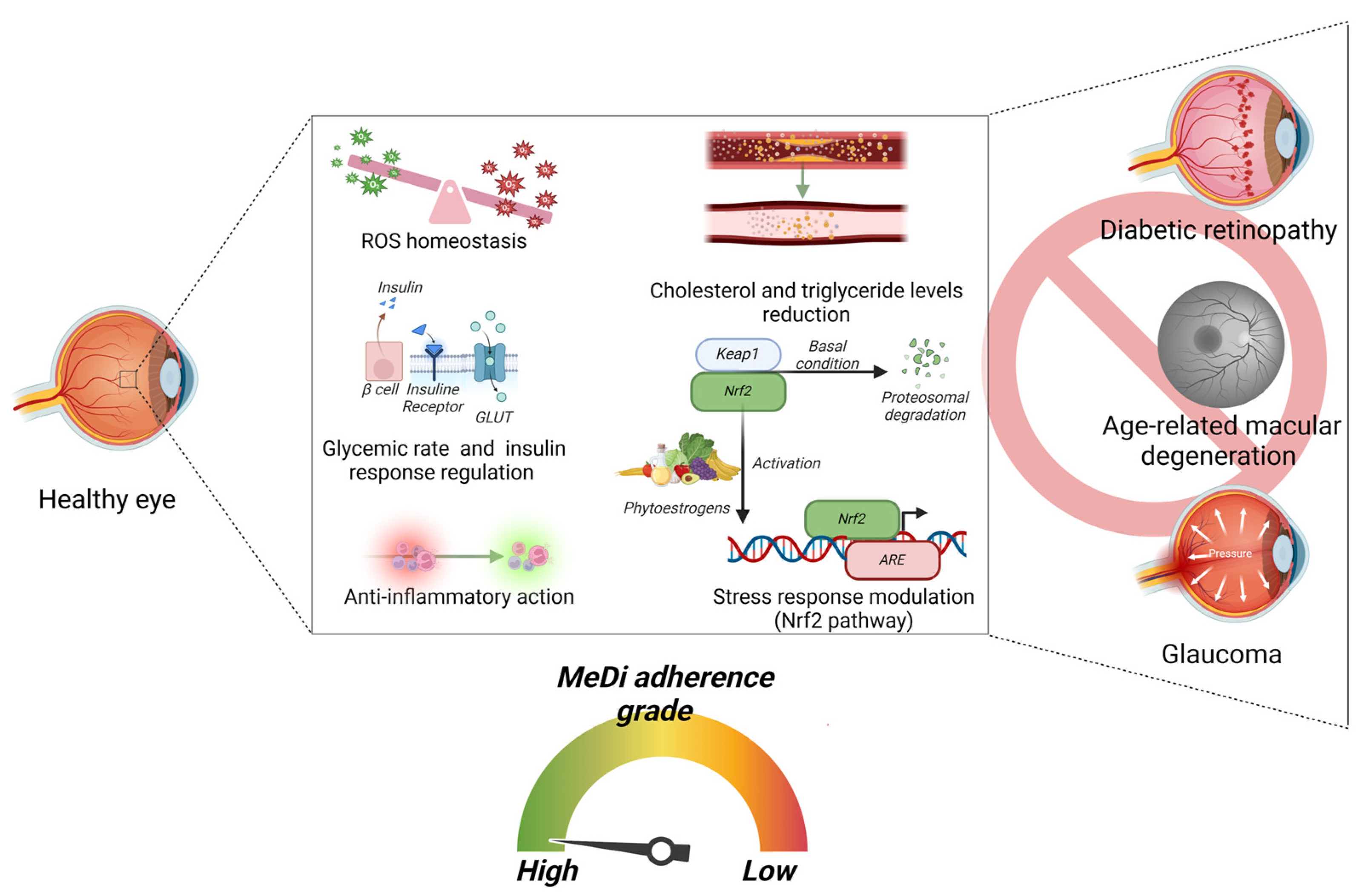 Nutrients 16 03169 g004