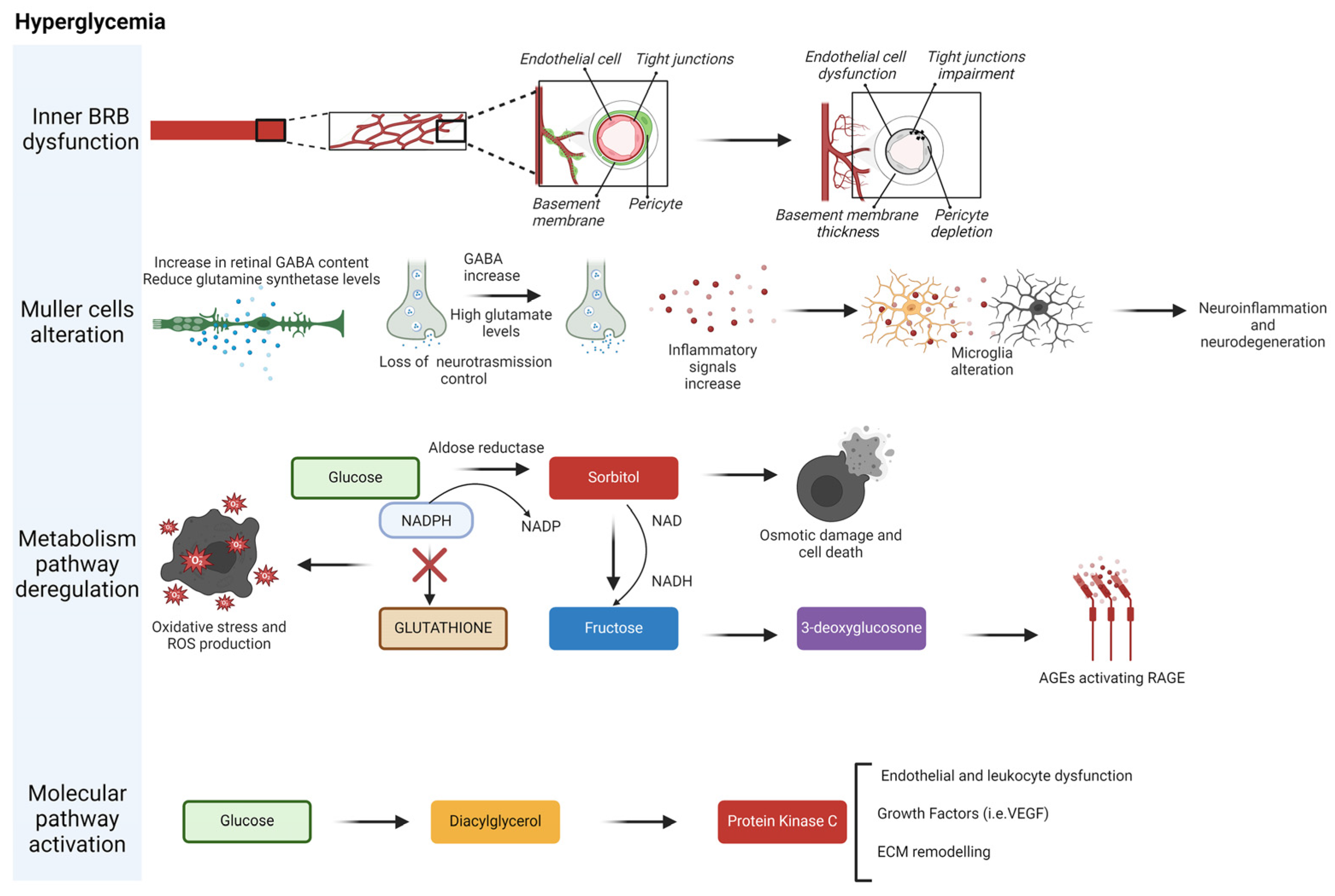 Nutrients 16 03169 g005