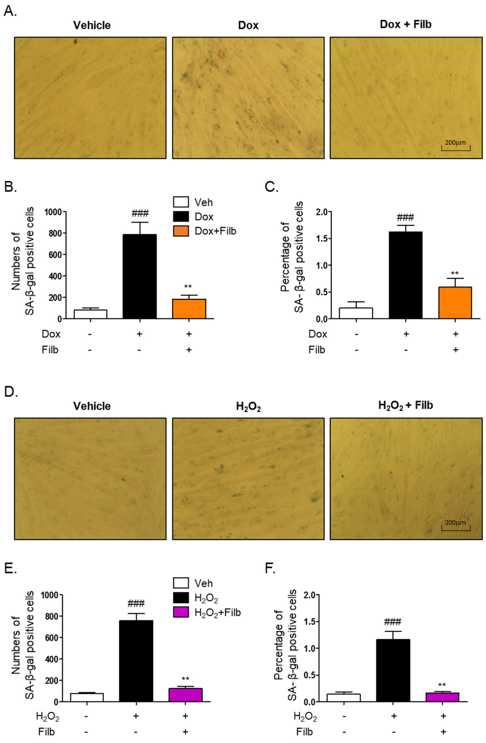 Nutrients 16 03177 g003