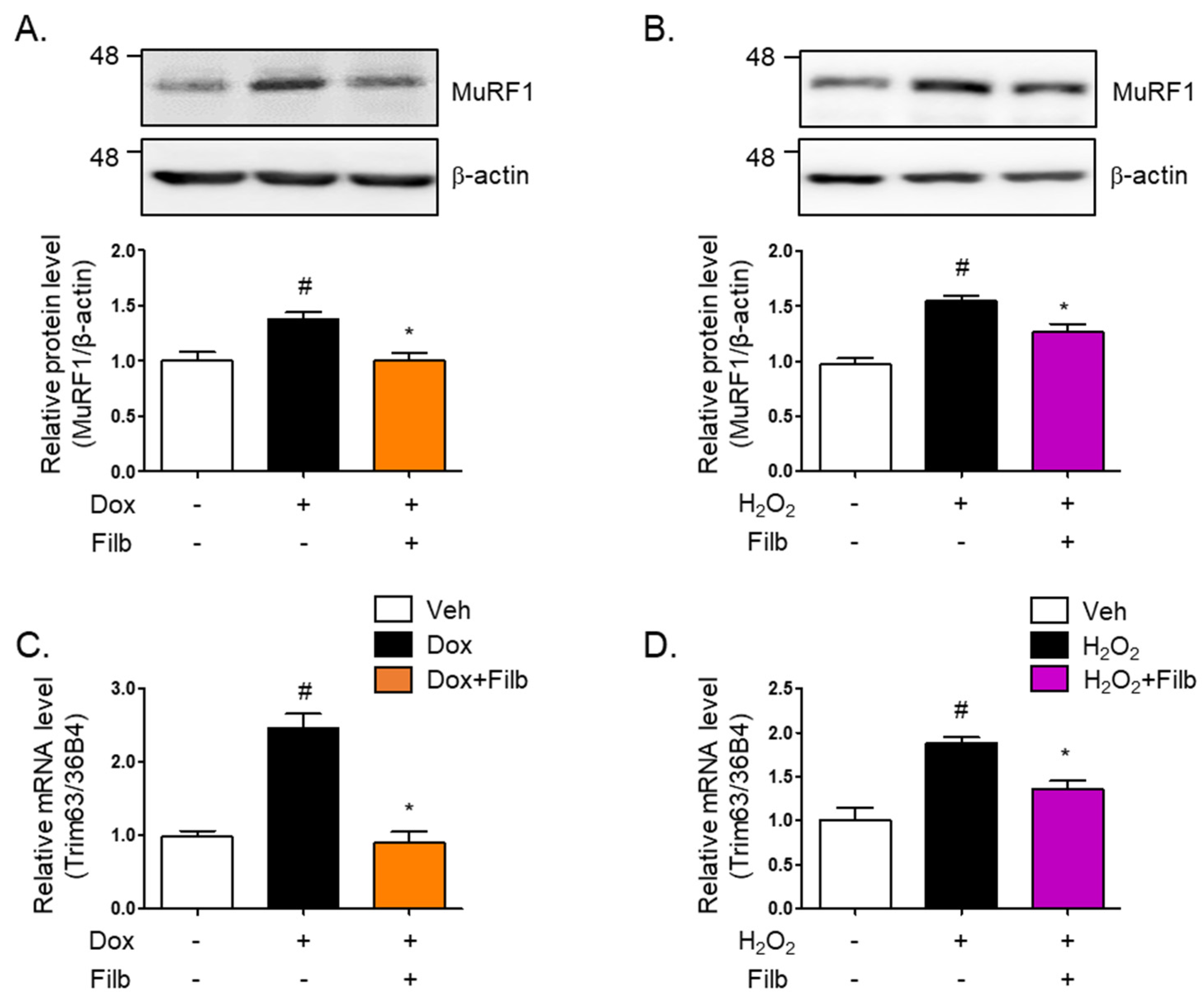 Nutrients 16 03177 g004