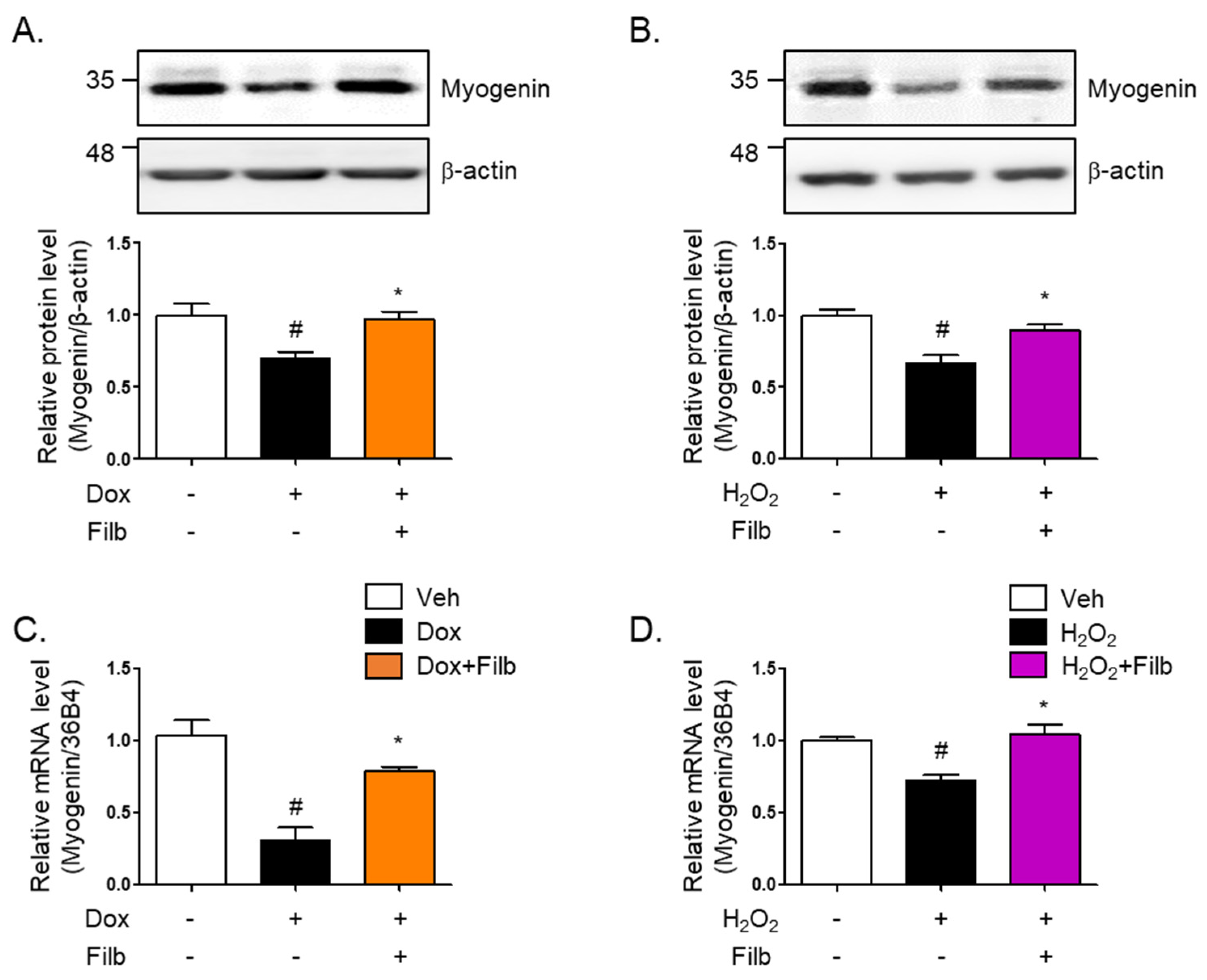 Nutrients 16 03177 g005
