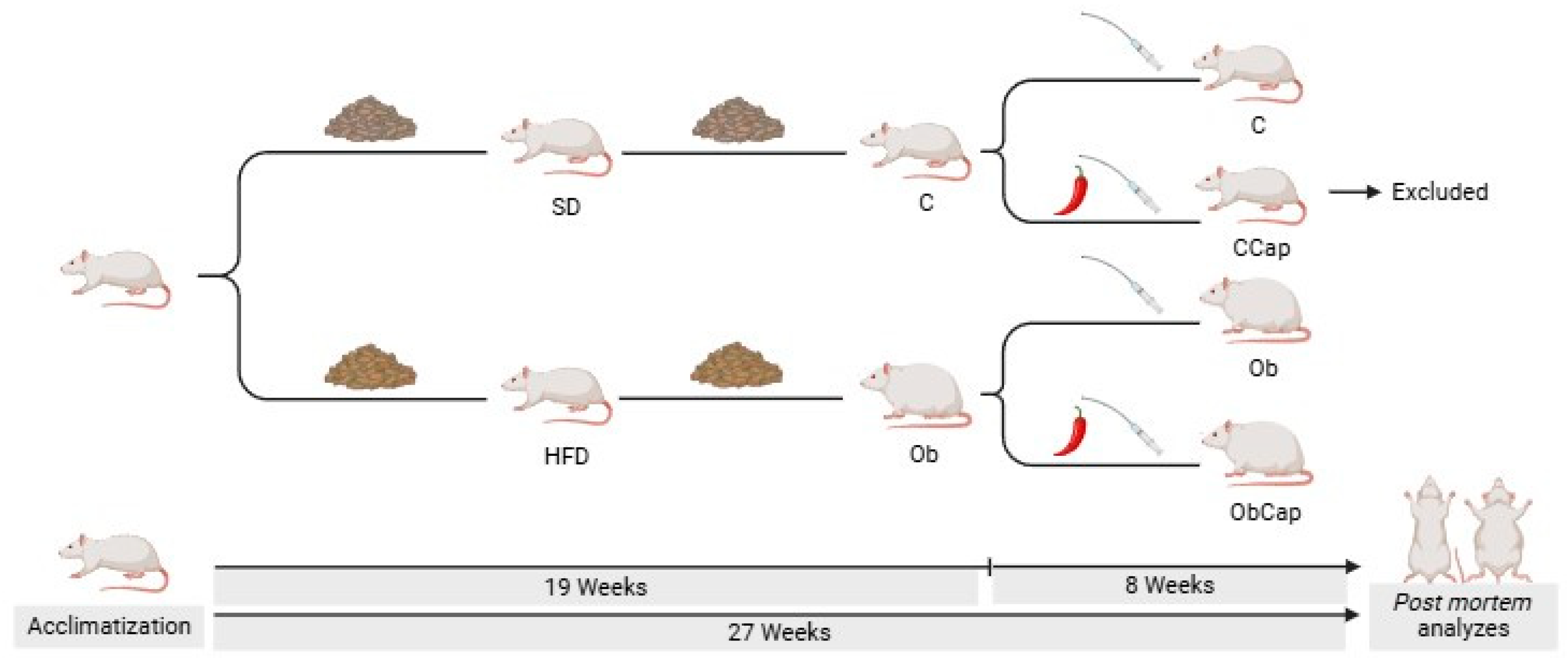 Nutrients 16 03183 g001