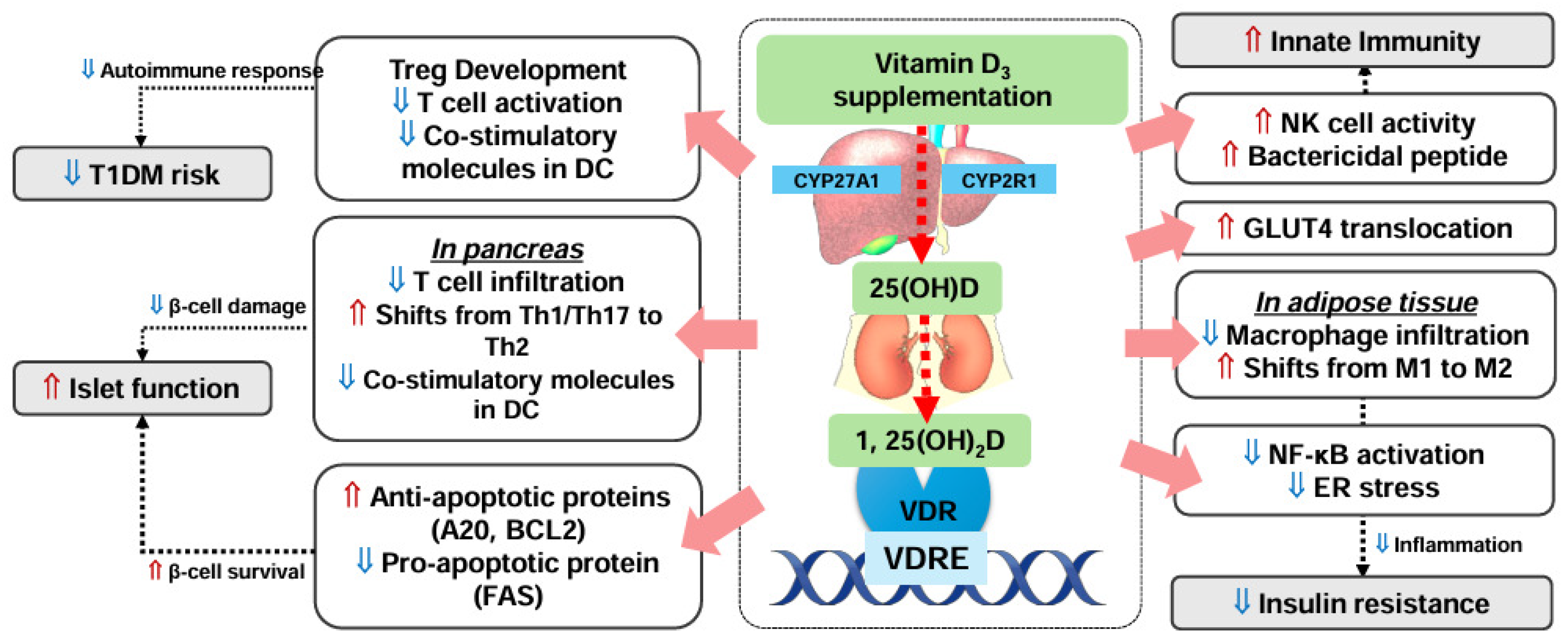 Nutrients 16 03185 g002 Nutrients 16 03185 g002