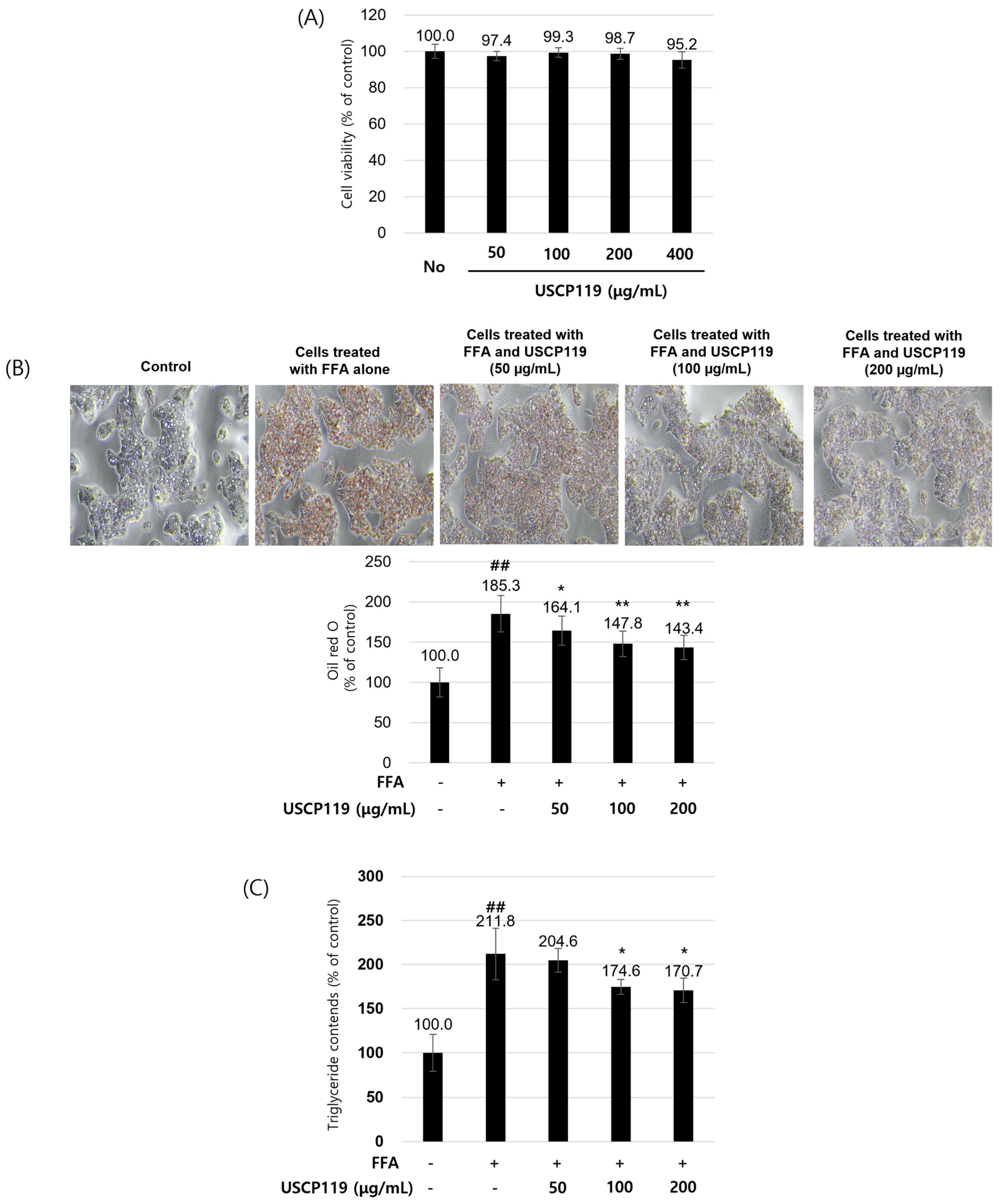 Nutrients 16 03189 g007
