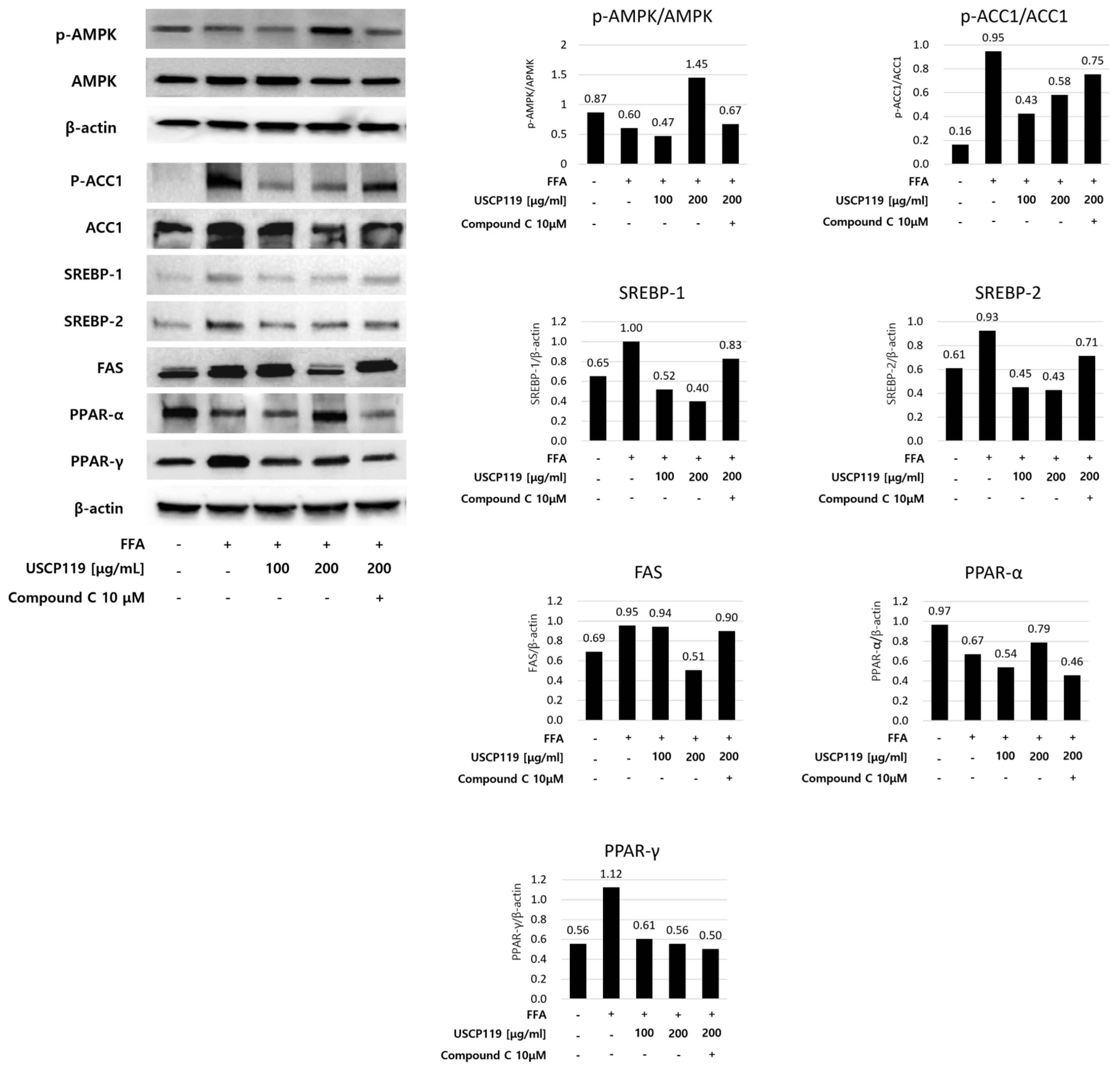 Nutrients 16 03189 g008