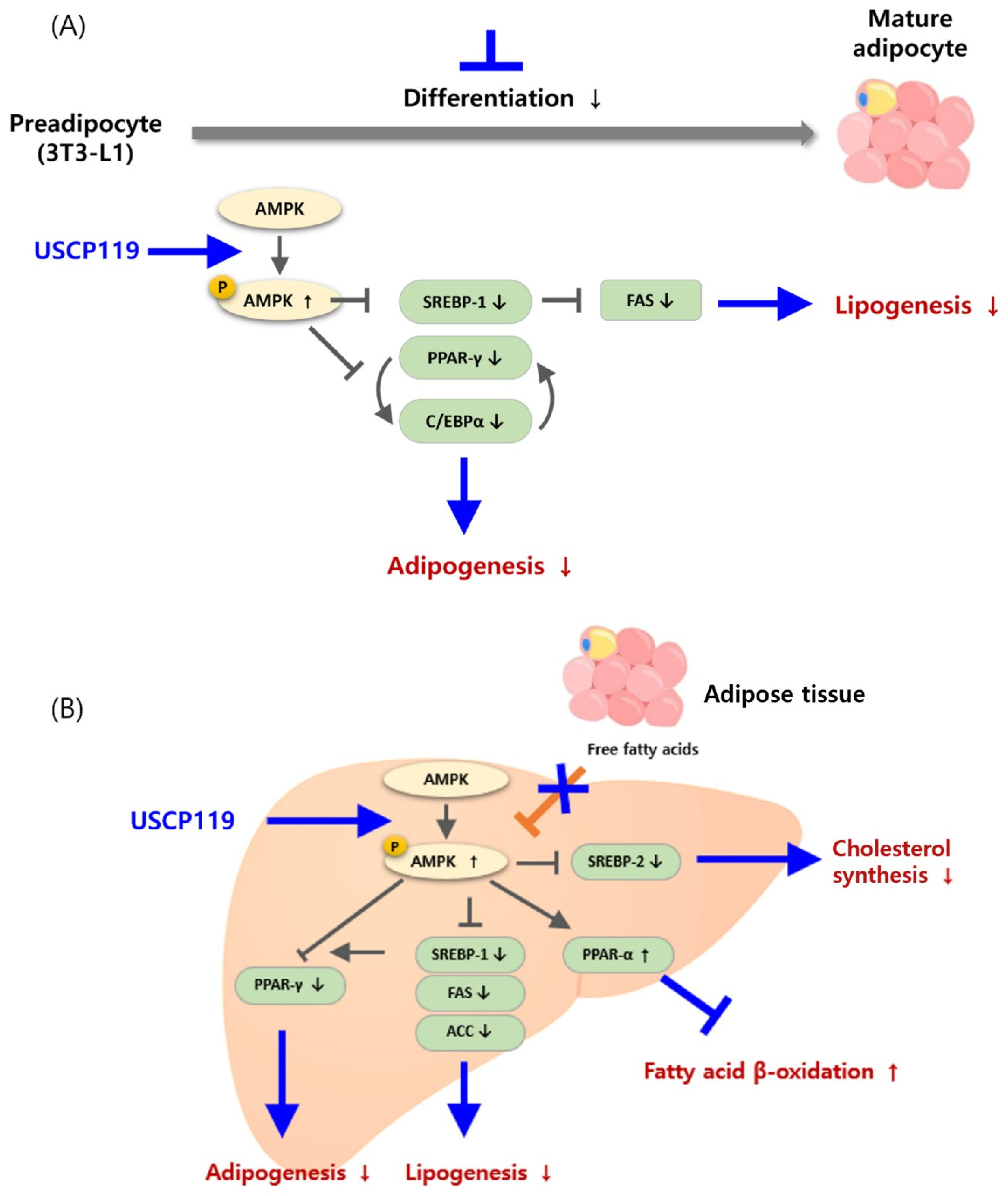 Nutrients 16 03189 g010