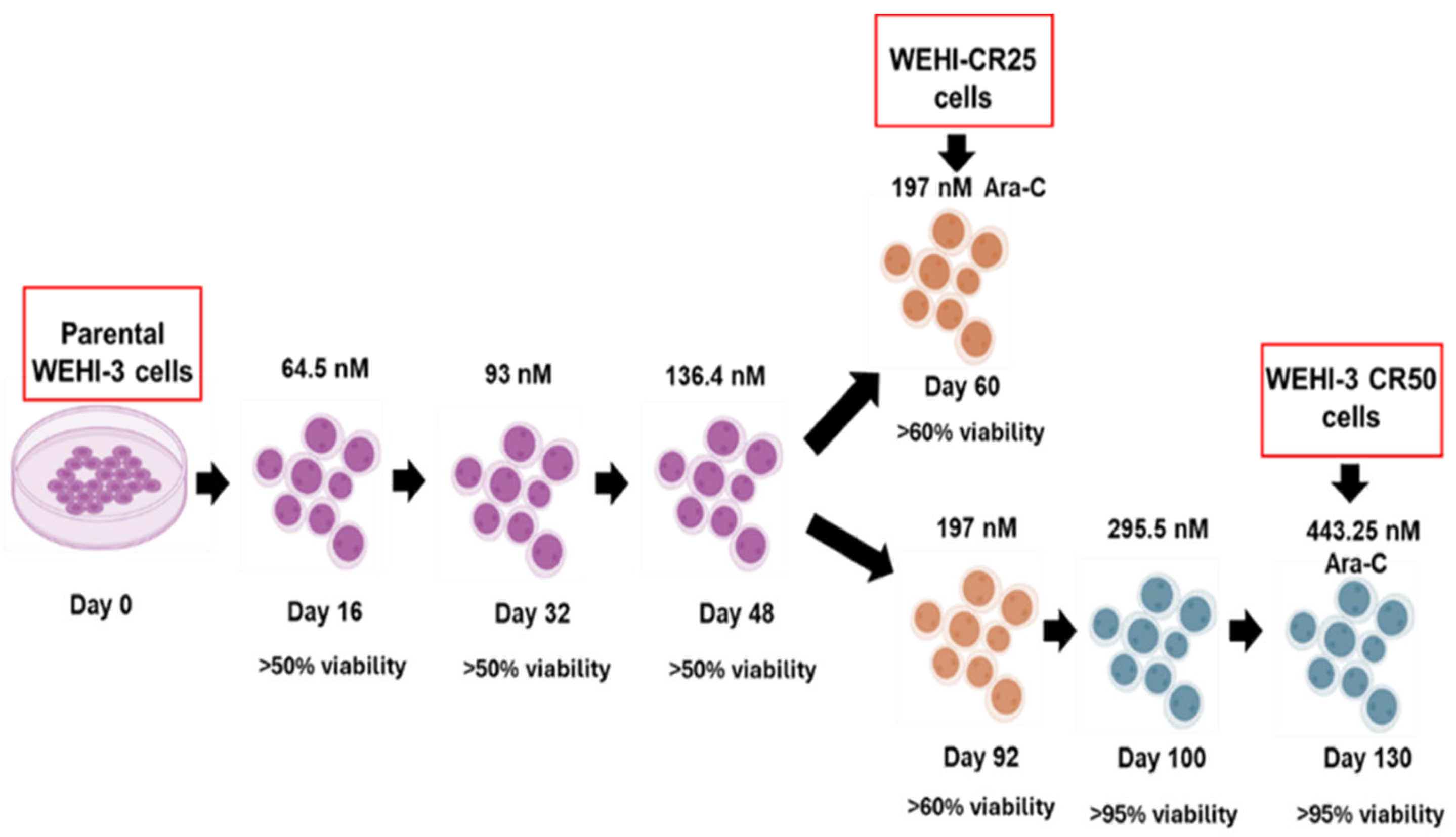 Nutrients 16 03190 g002 Nutrients 16 03190 g002