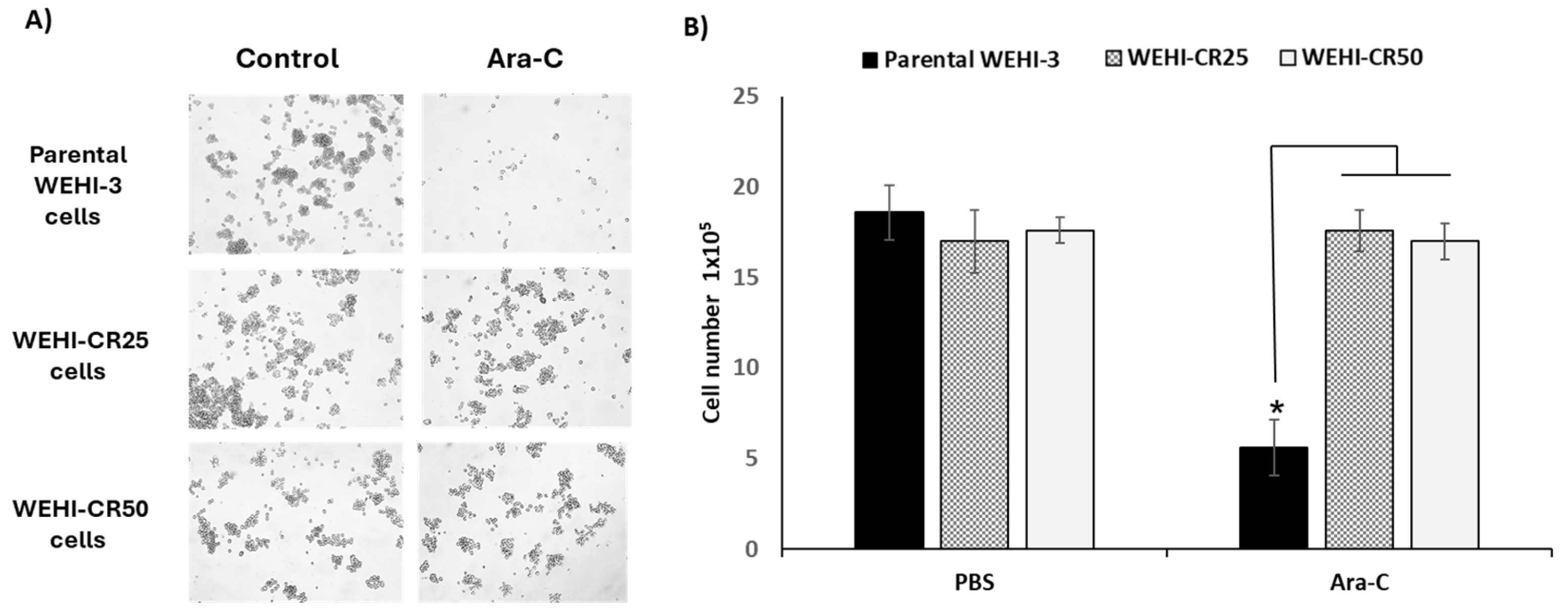 Nutrients 16 03190 g003 Nutrients 16 03190 g003