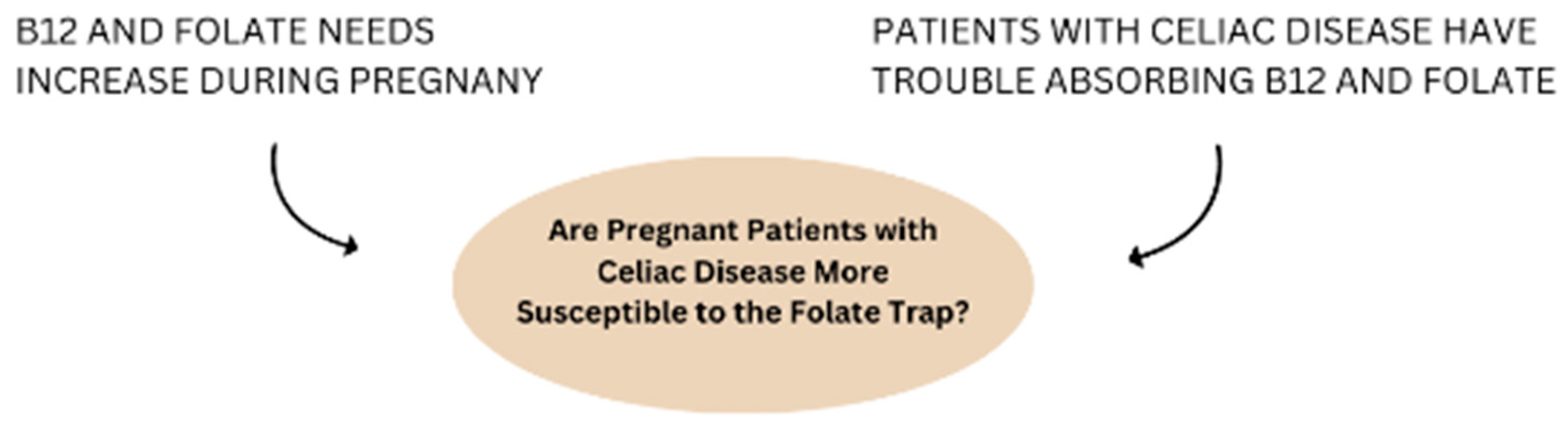 Nutrients 16 03194 g001