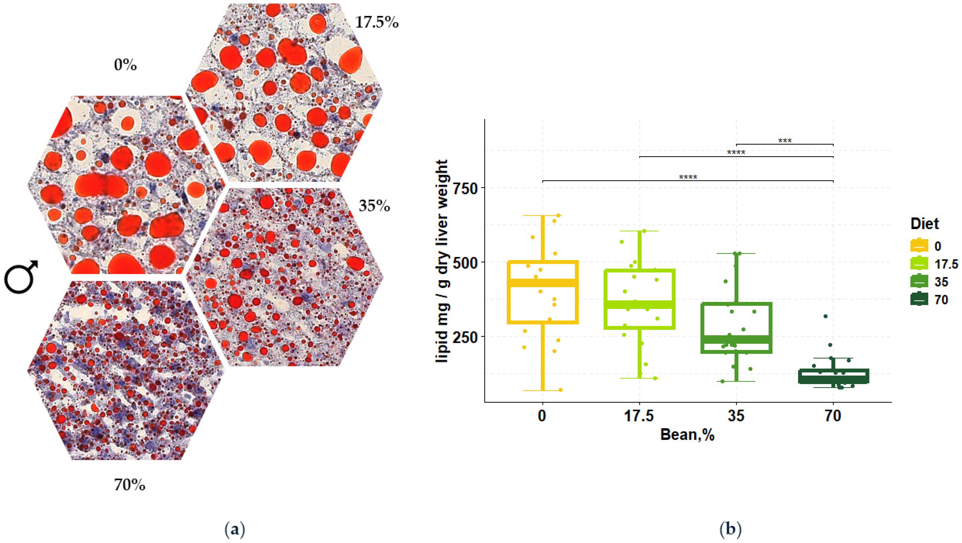 Nutrients 16 03196 g001