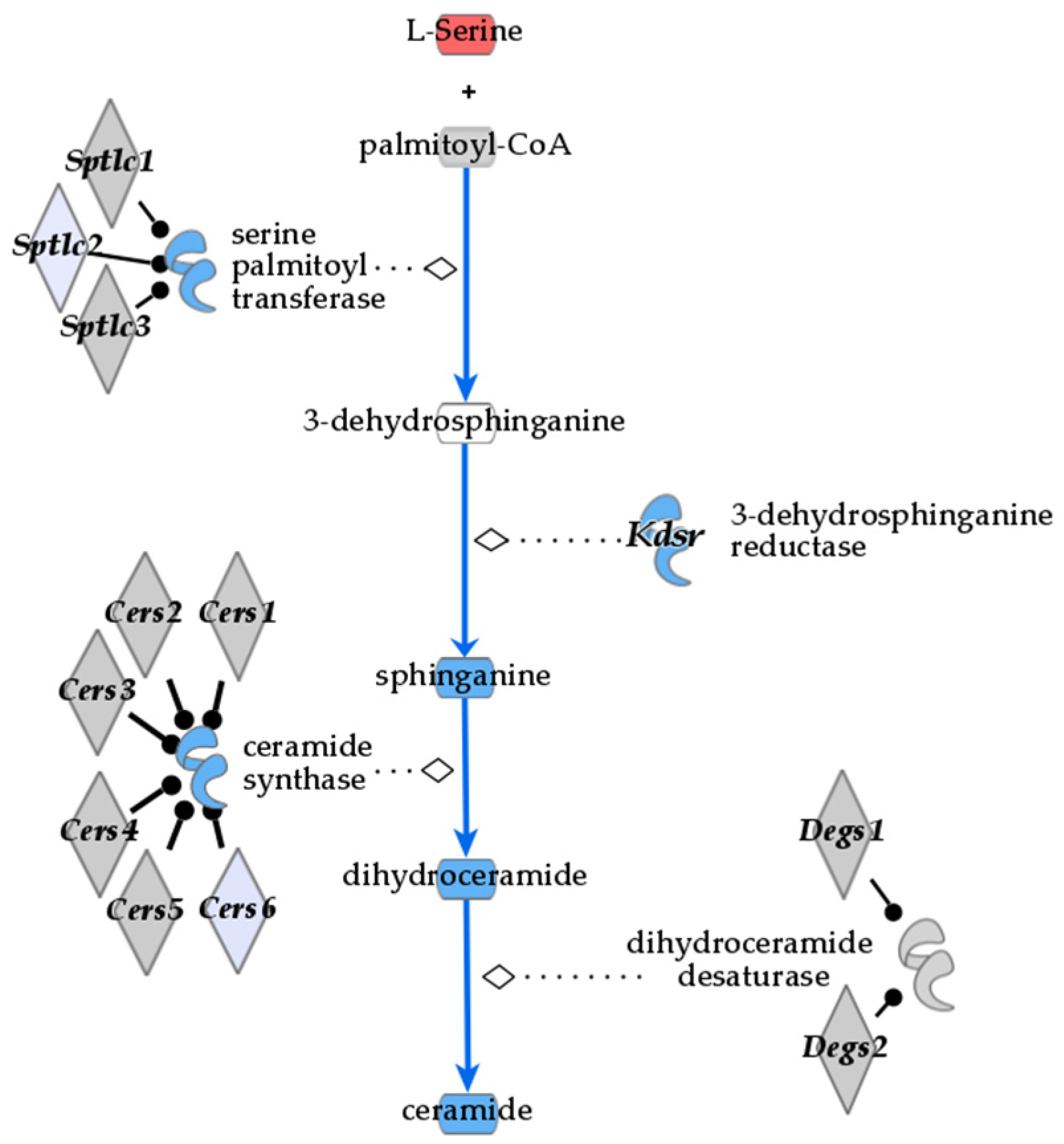 Nutrients 16 03196 g007