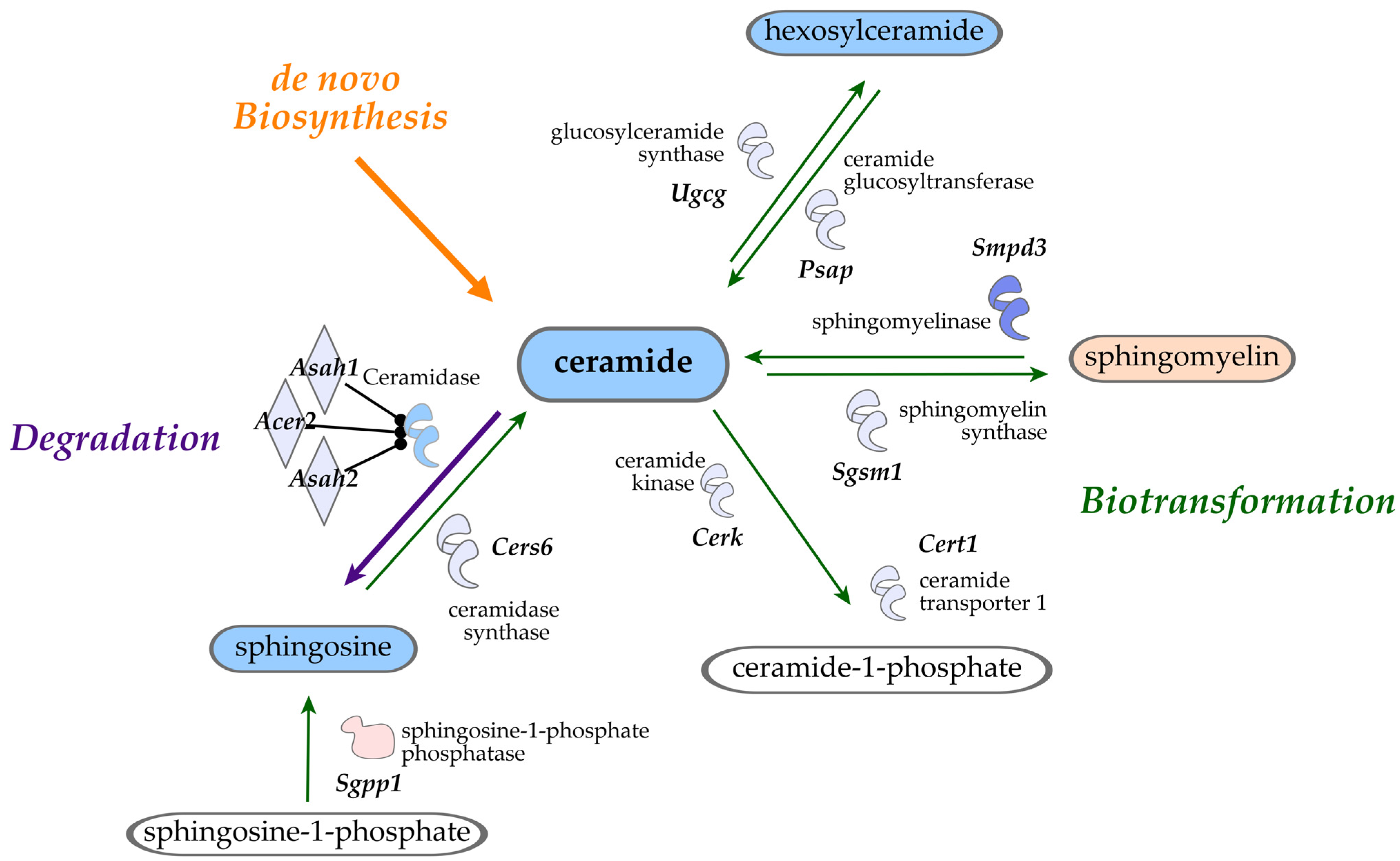 Nutrients 16 03196 g008
