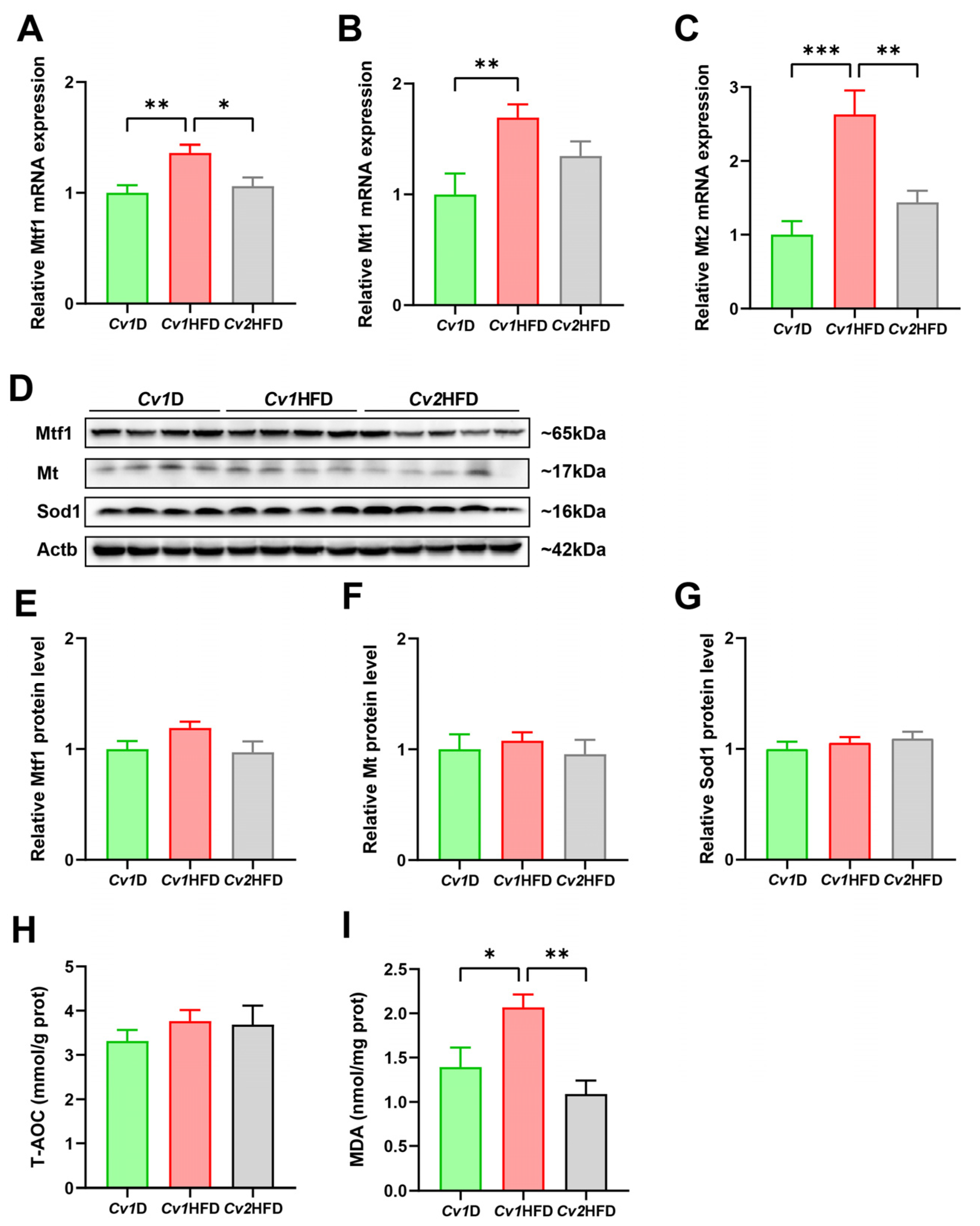 Nutrients 16 03208 g005