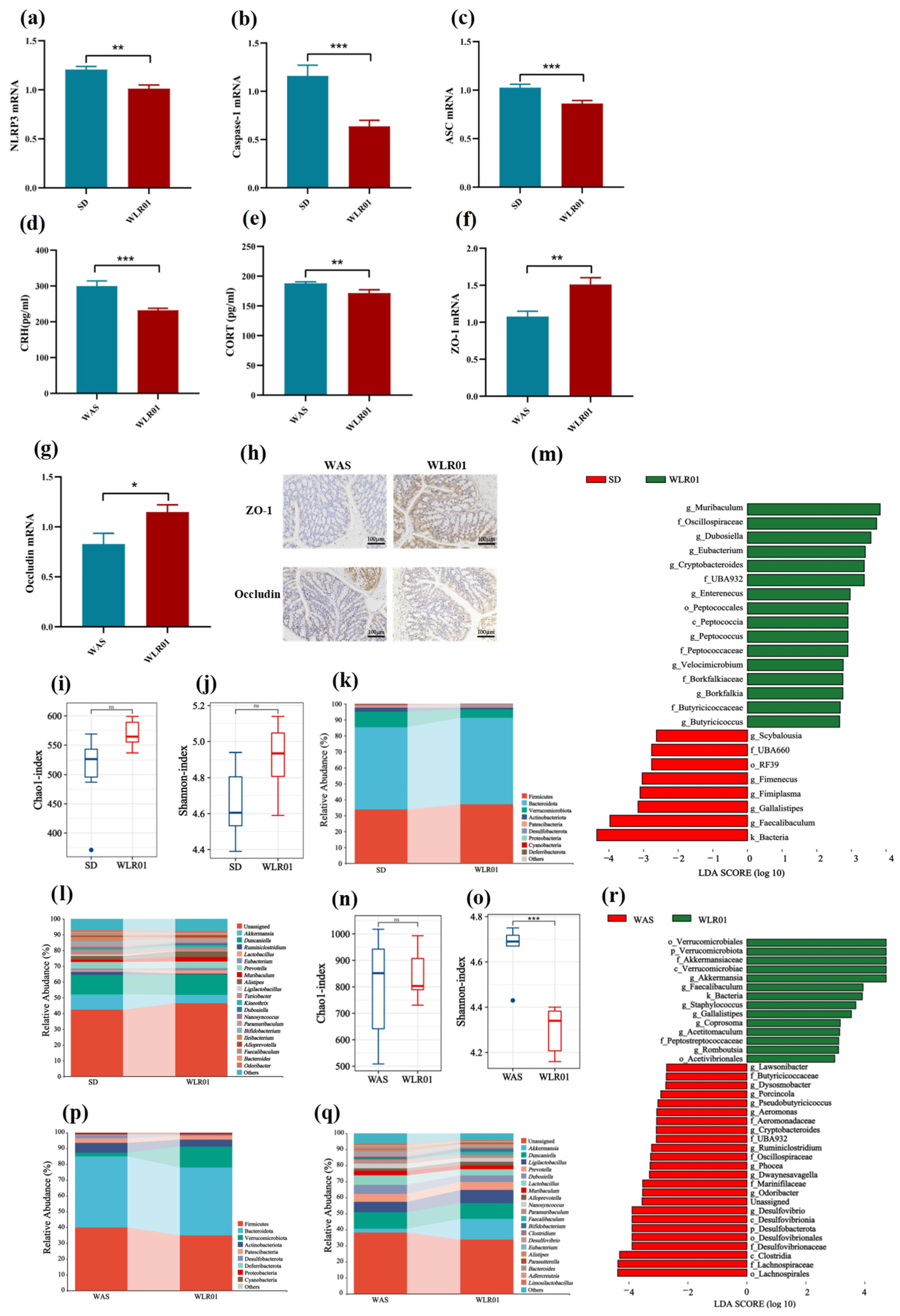 Nutrients 16 03209 g006