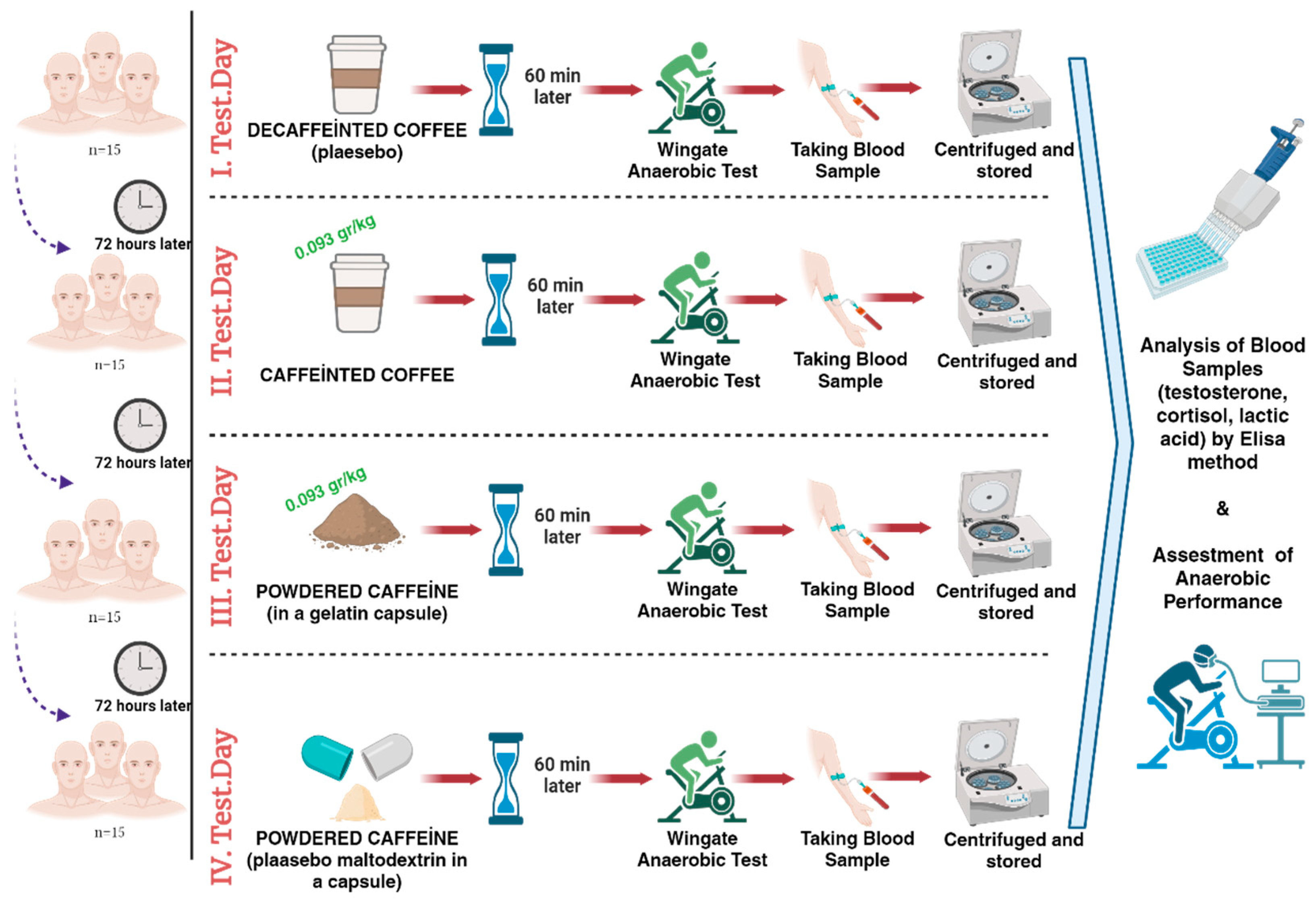 Nutrients 16 03228 g001
