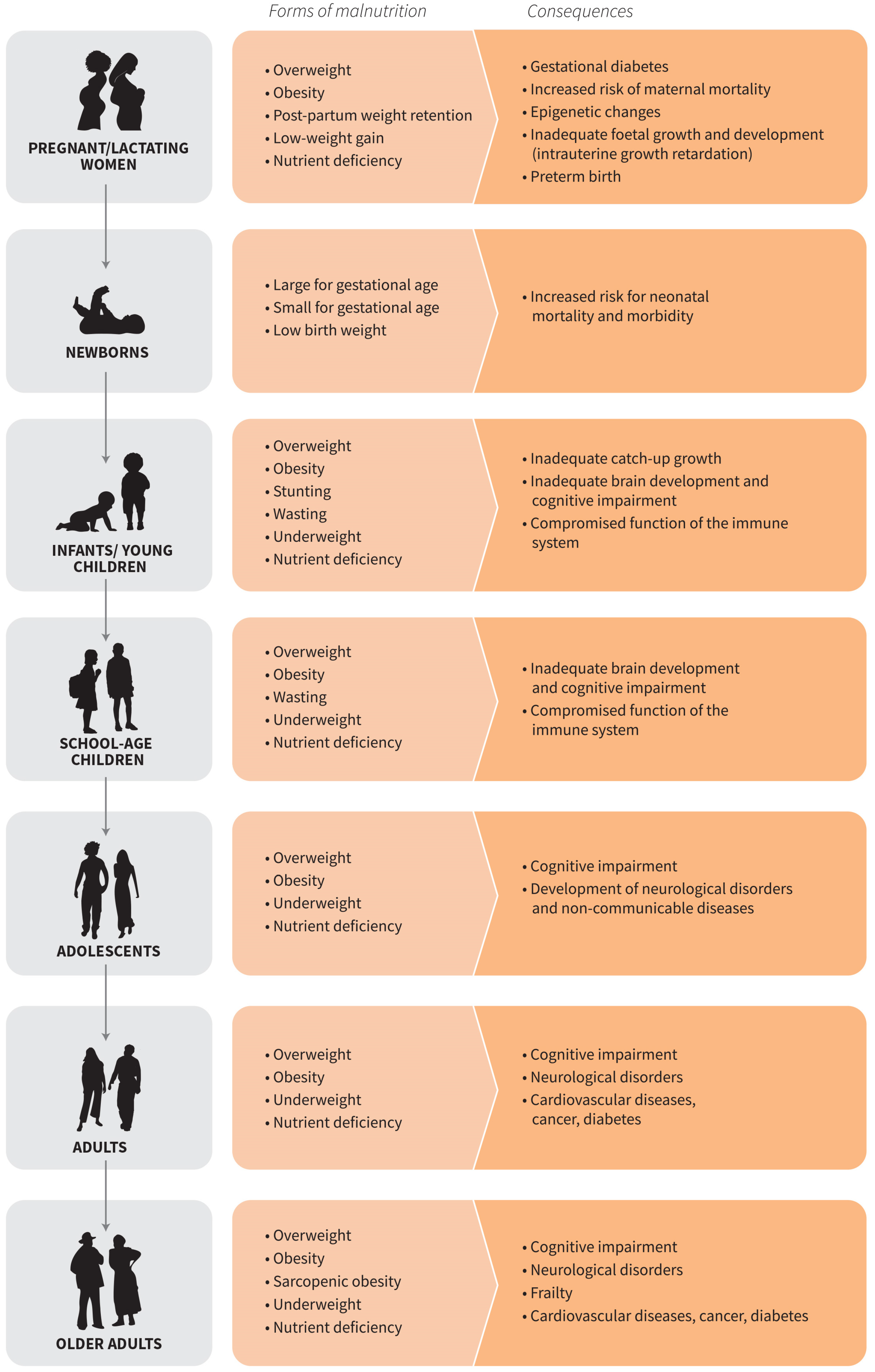 Nutrients 16 03231 g001 Nutrients 16 03231 g001