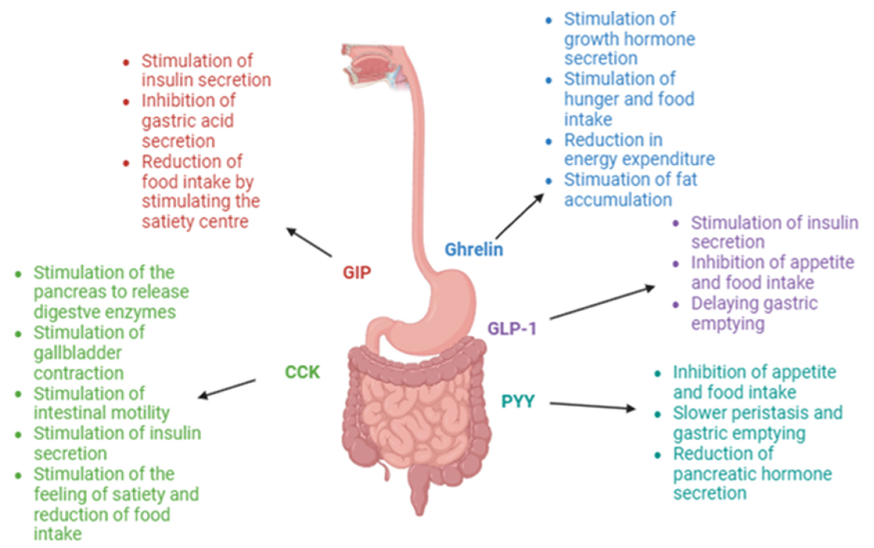 Nutrients 16 03245 g001