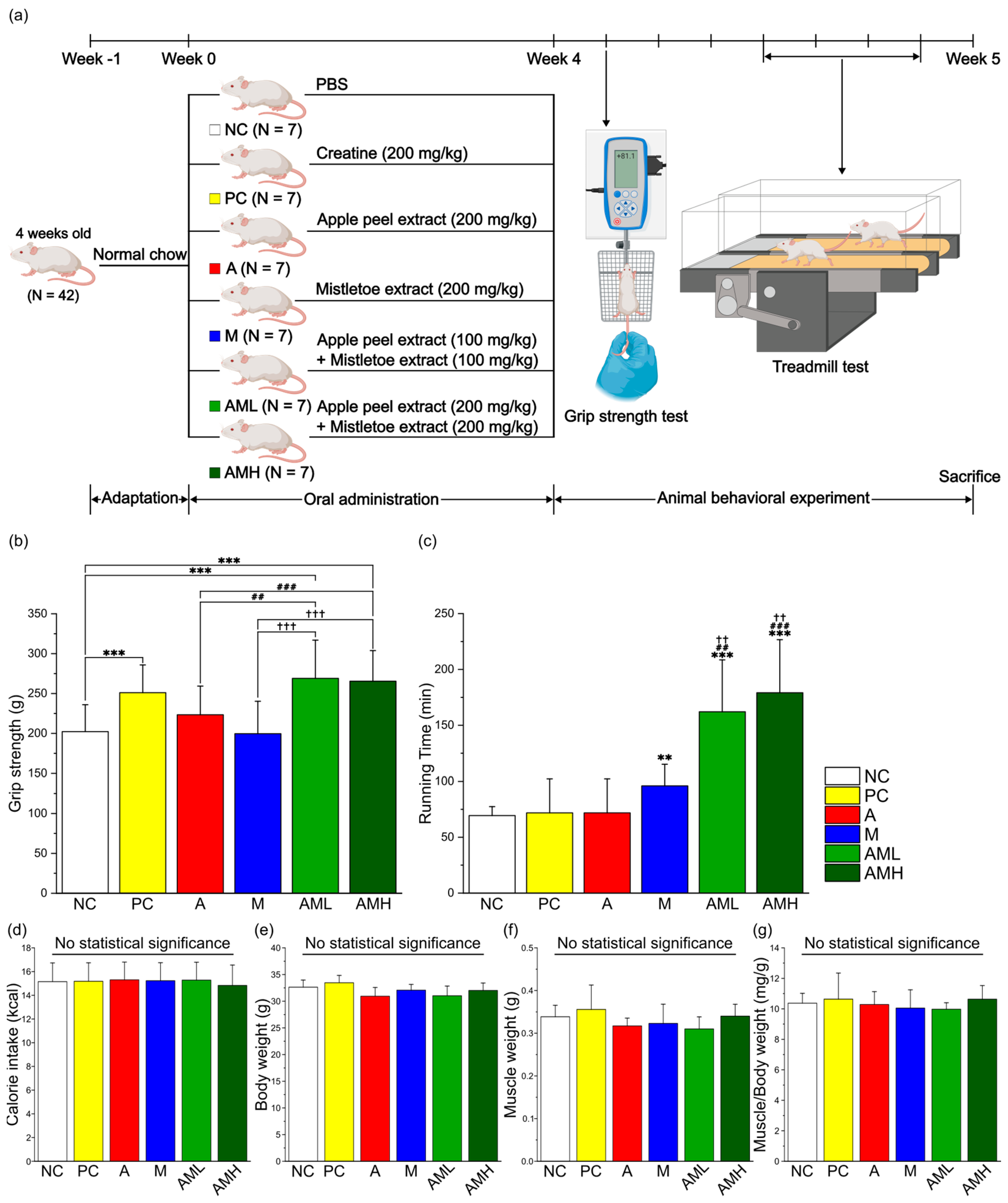 Nutrients 16 03255 g002