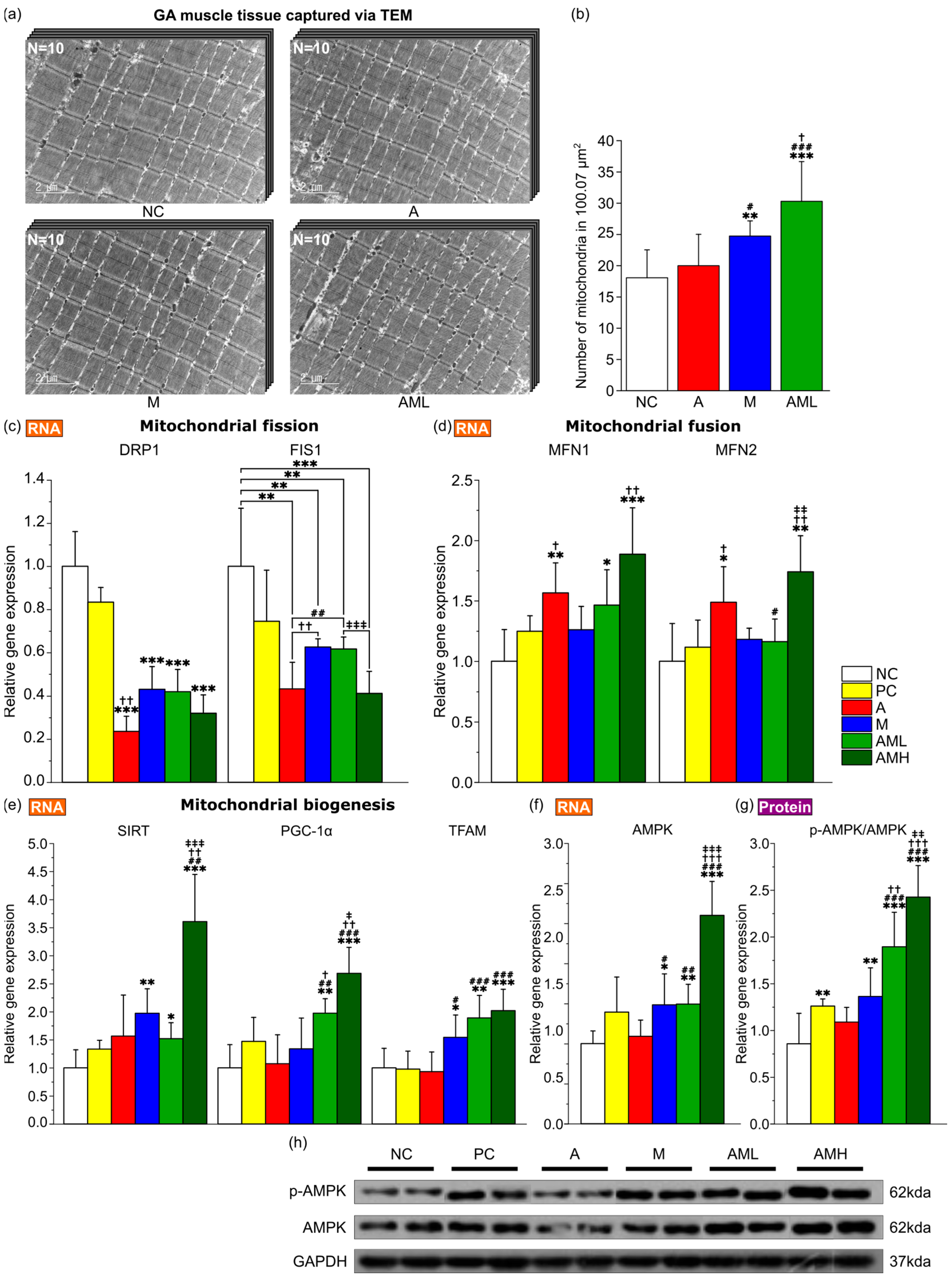 Nutrients 16 03255 g004