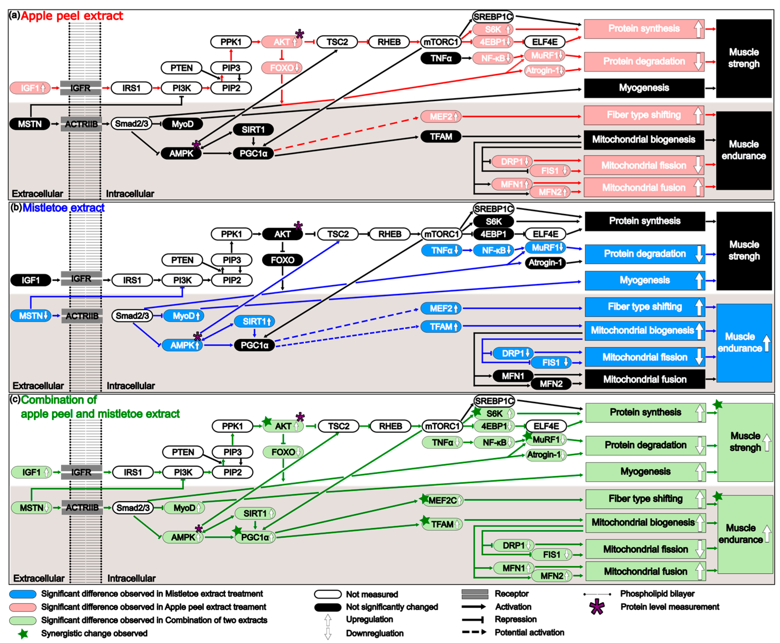 Nutrients 16 03255 g006