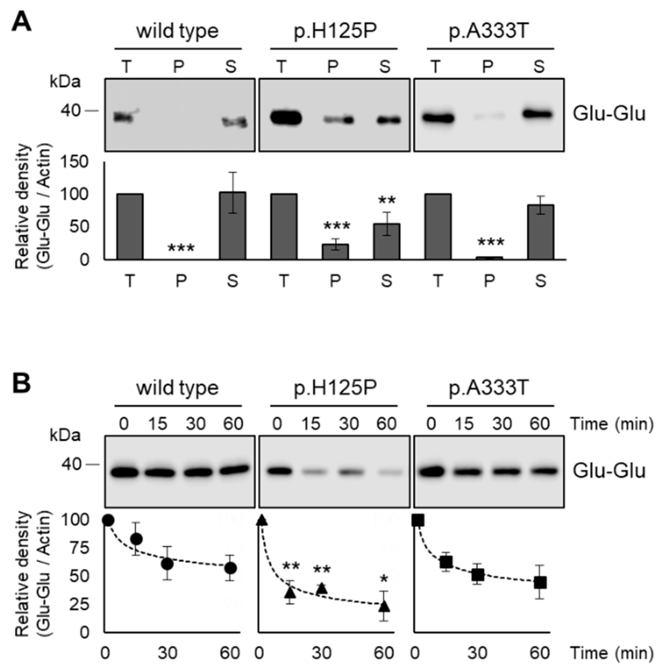 Nutrients 16 03259 g007
