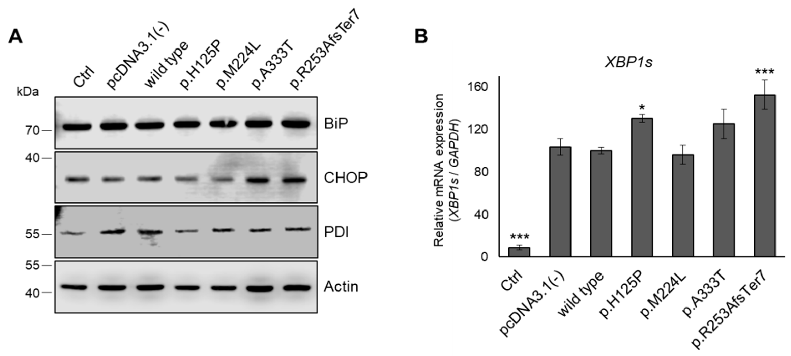 Nutrients 16 03259 g008