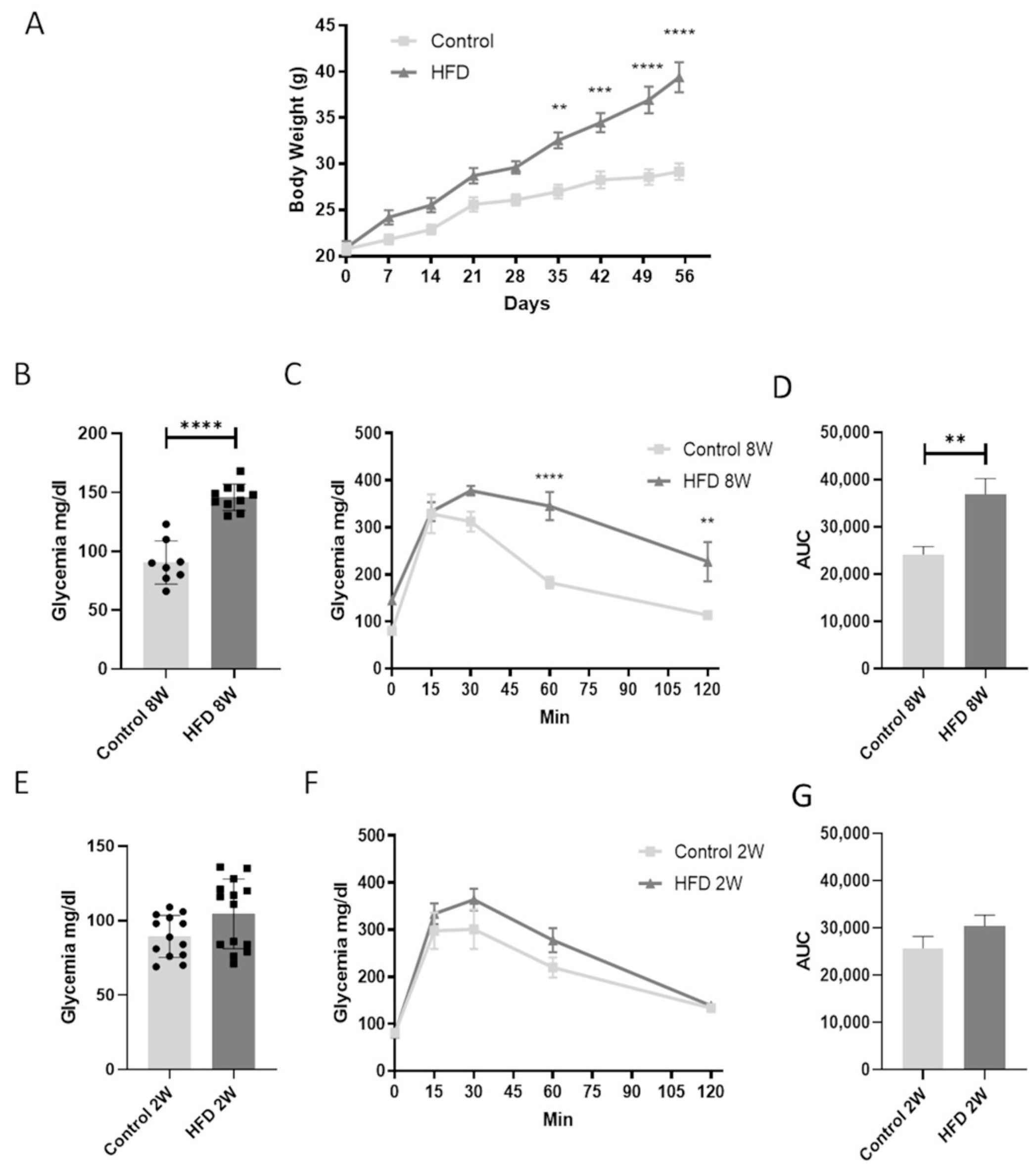 Nutrients 16 03260 g001