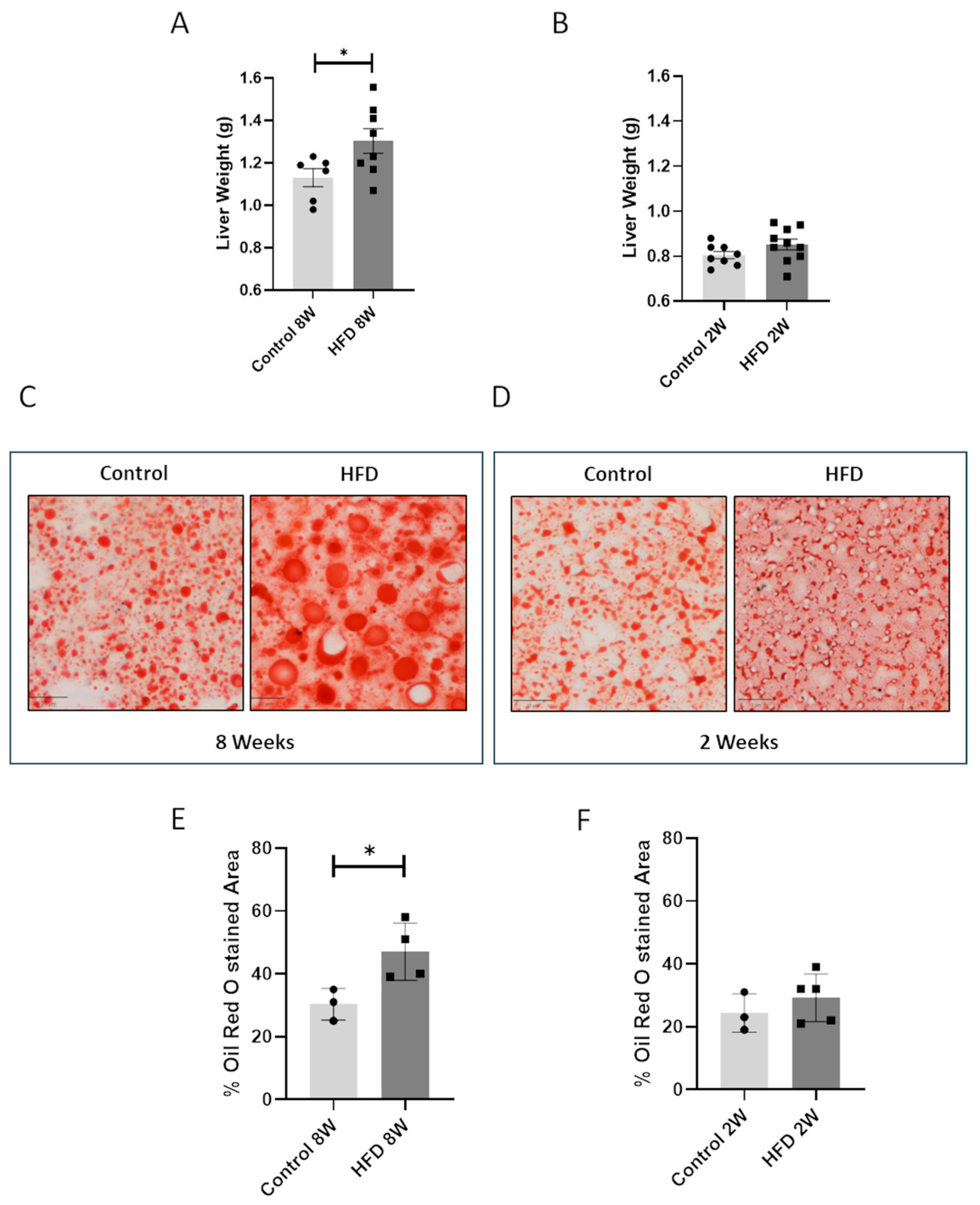 Nutrients 16 03260 g002