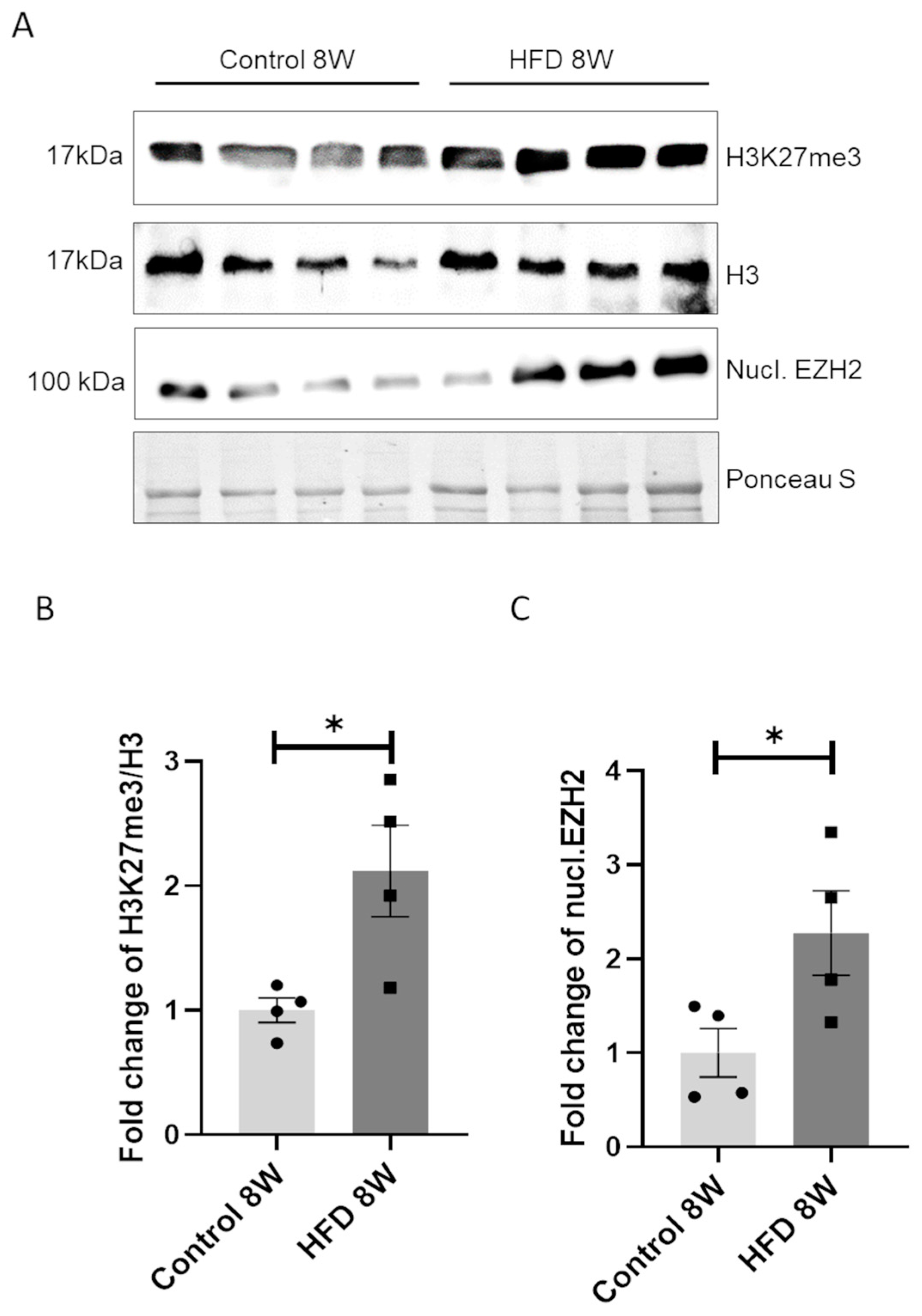 Nutrients 16 03260 g003