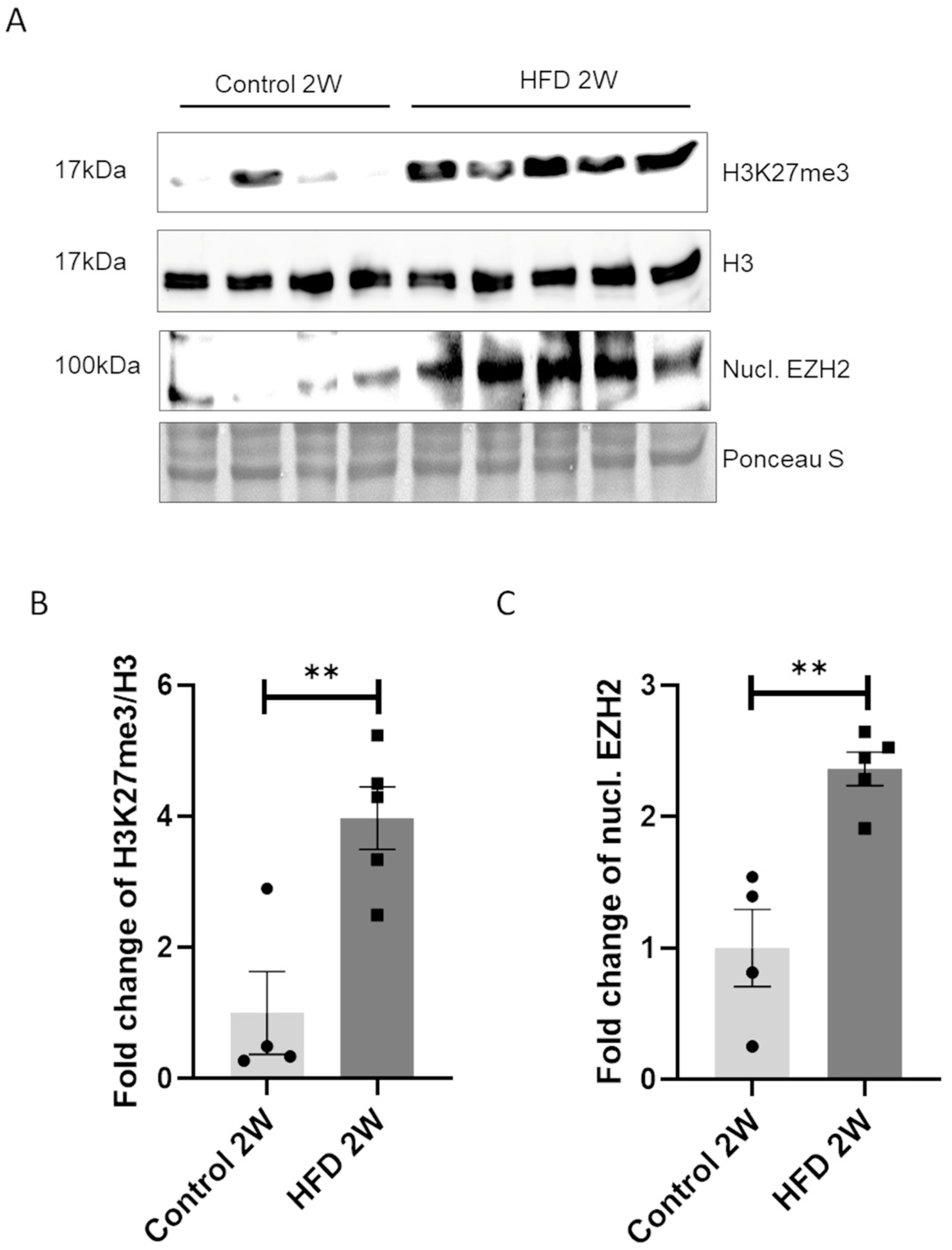 Nutrients 16 03260 g004