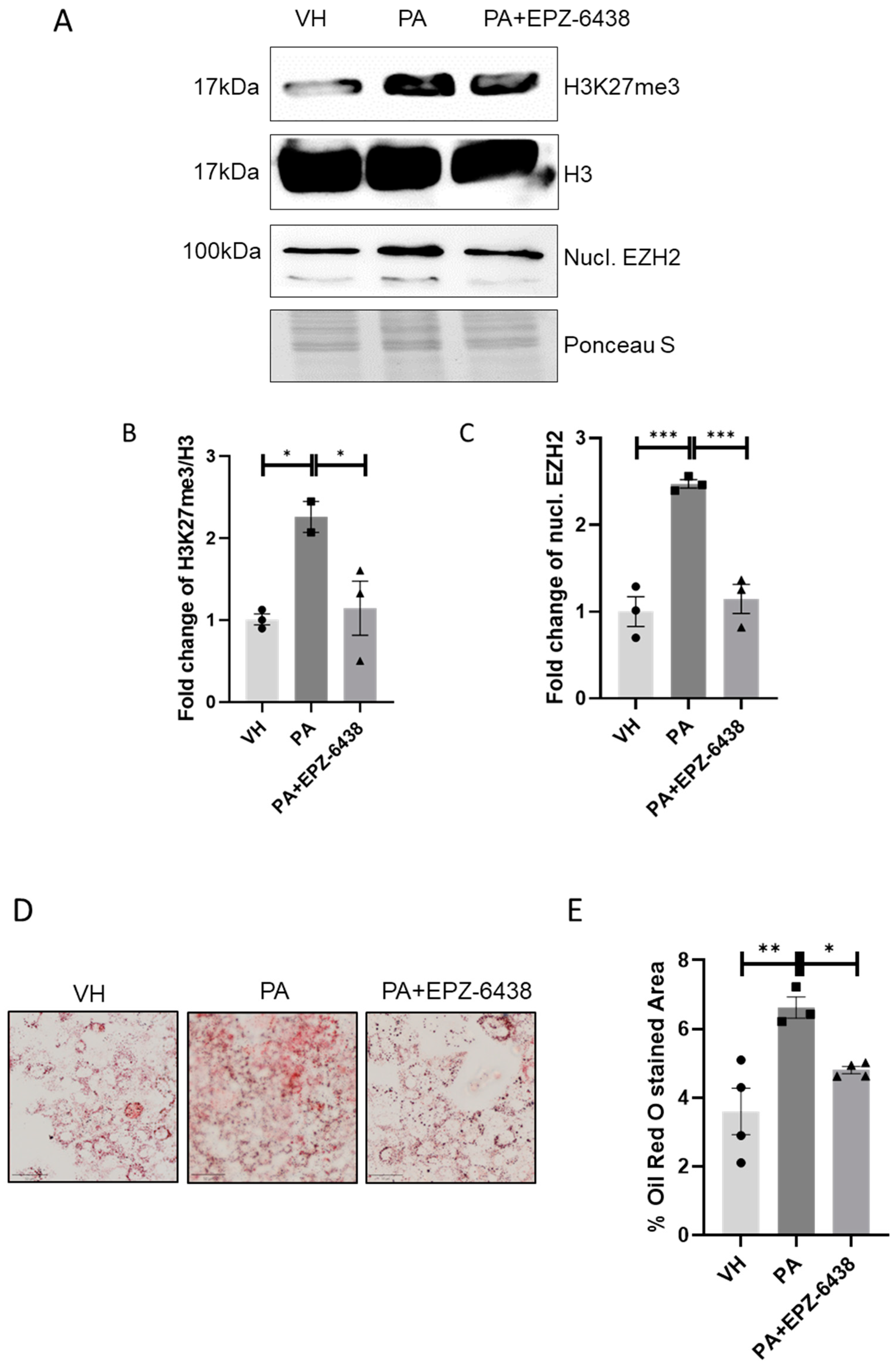 Nutrients 16 03260 g005
