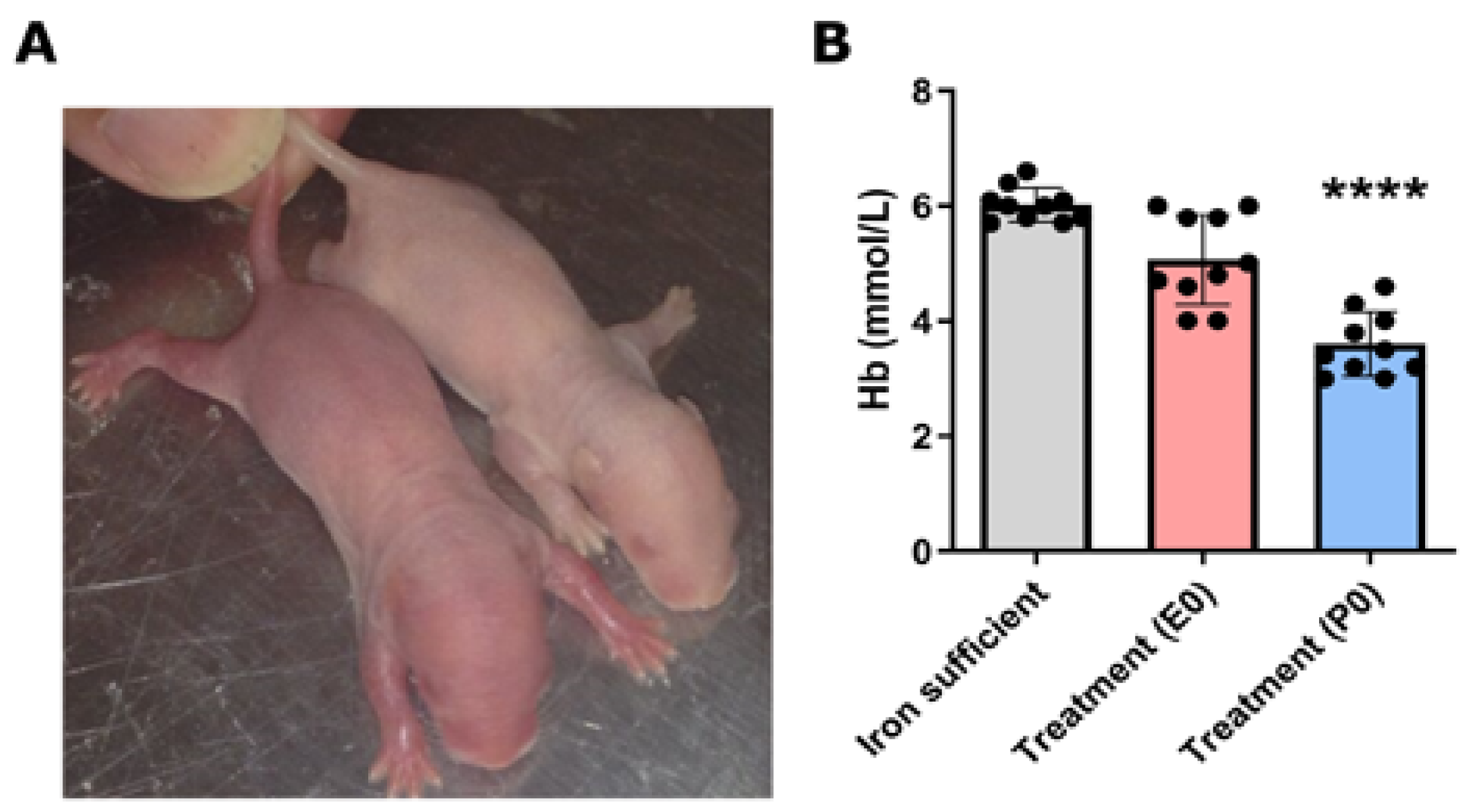 Nutrients 16 03264 g002 Nutrients 16 03264 g002