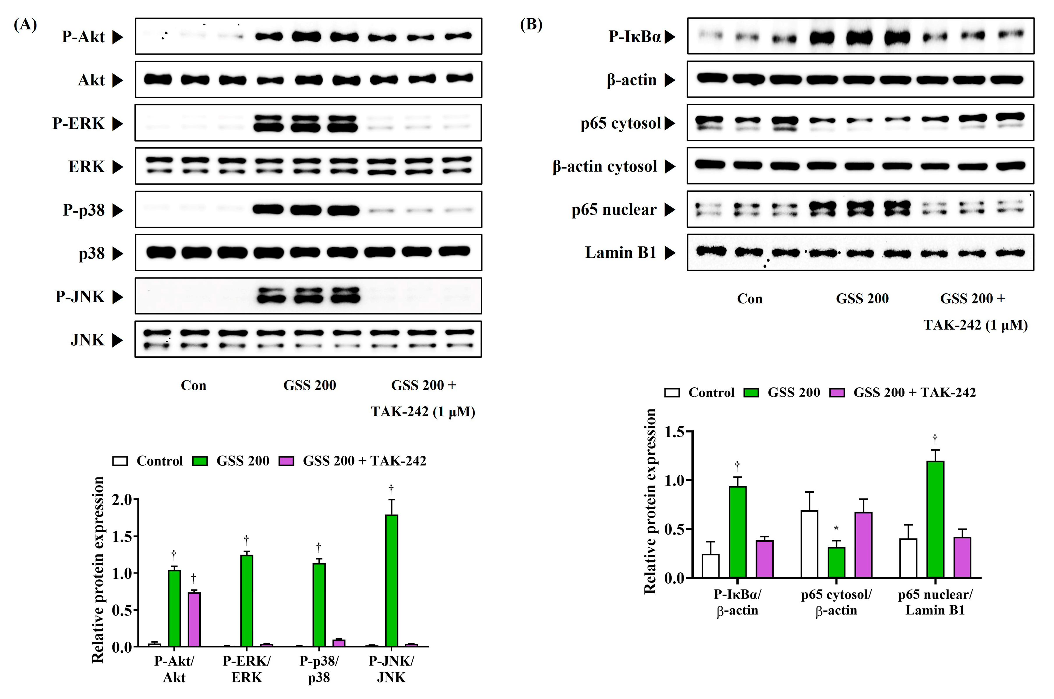 Nutrients 16 03266 g007
