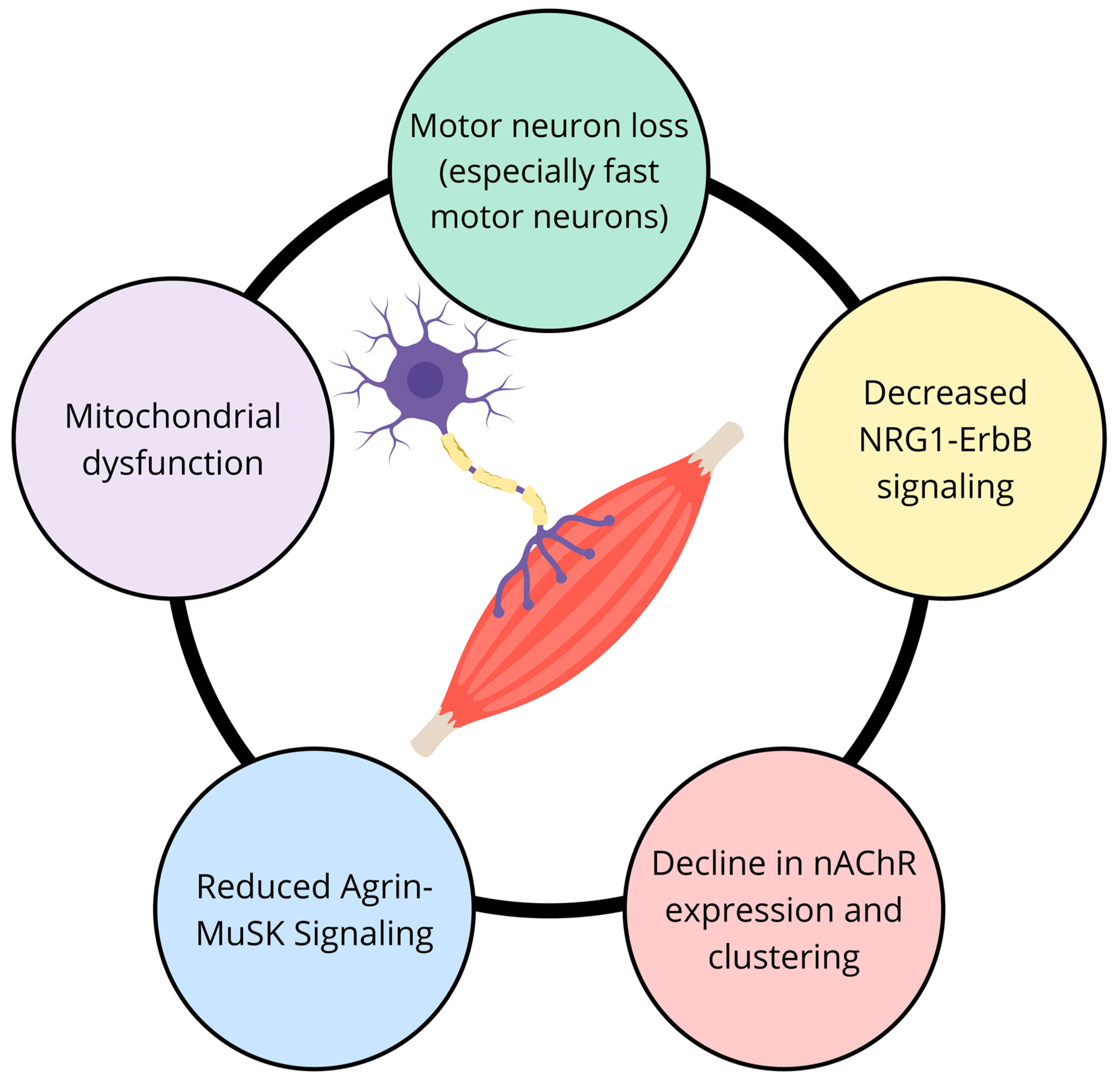 Nutrients 16 03271 g002