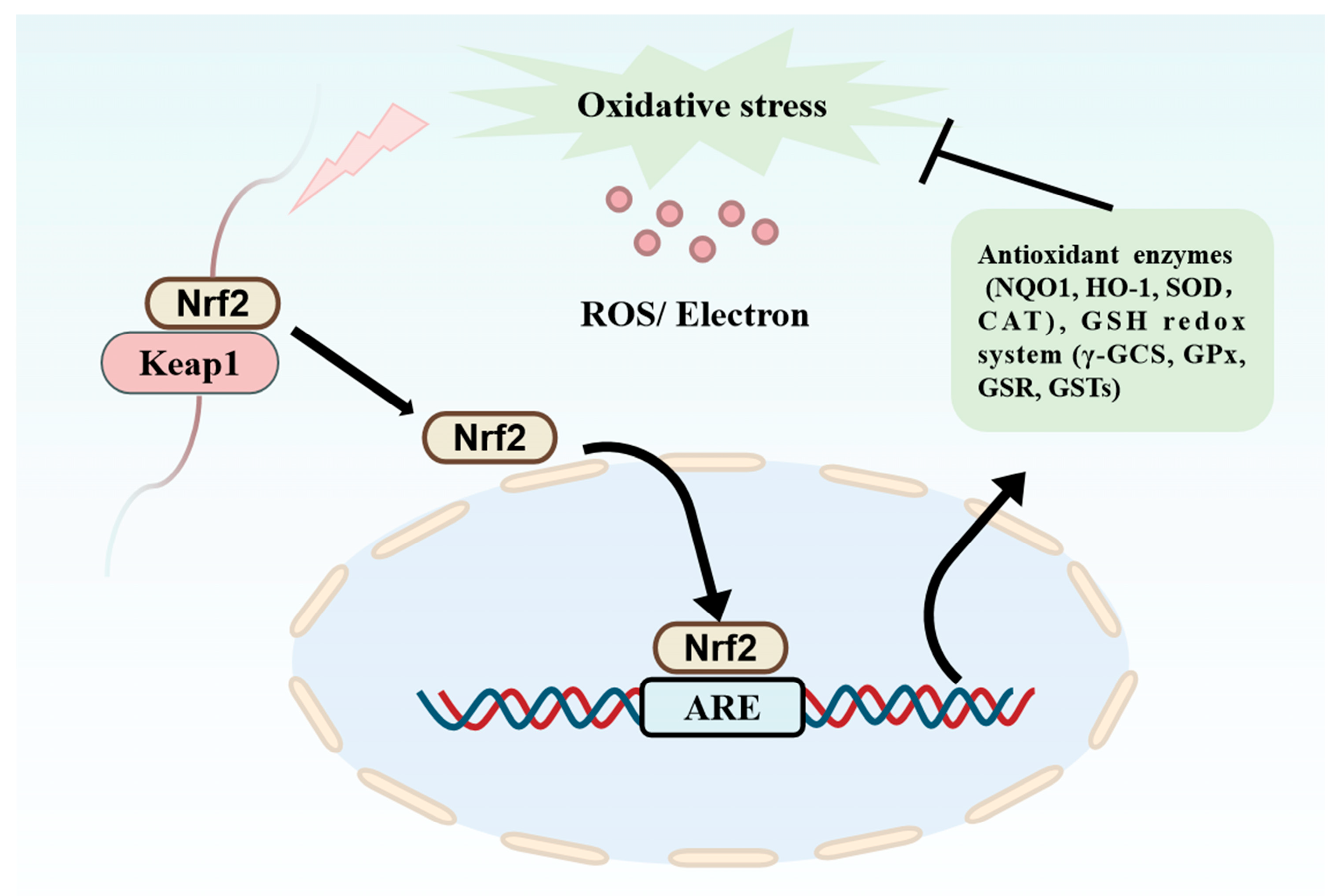 Nutrients 16 03277 g003